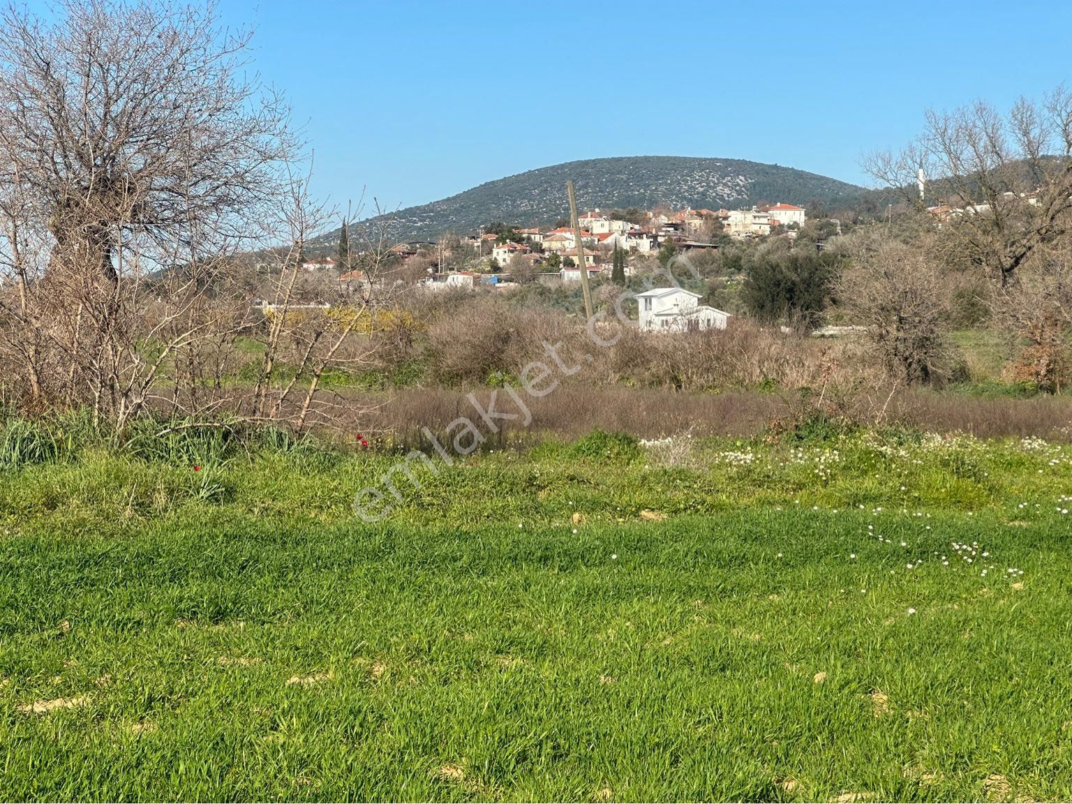 Milas Bodrum Arasında Kuzyakada 8500m2 Anayola Sıfır Satılık Tarla - Görsel 23