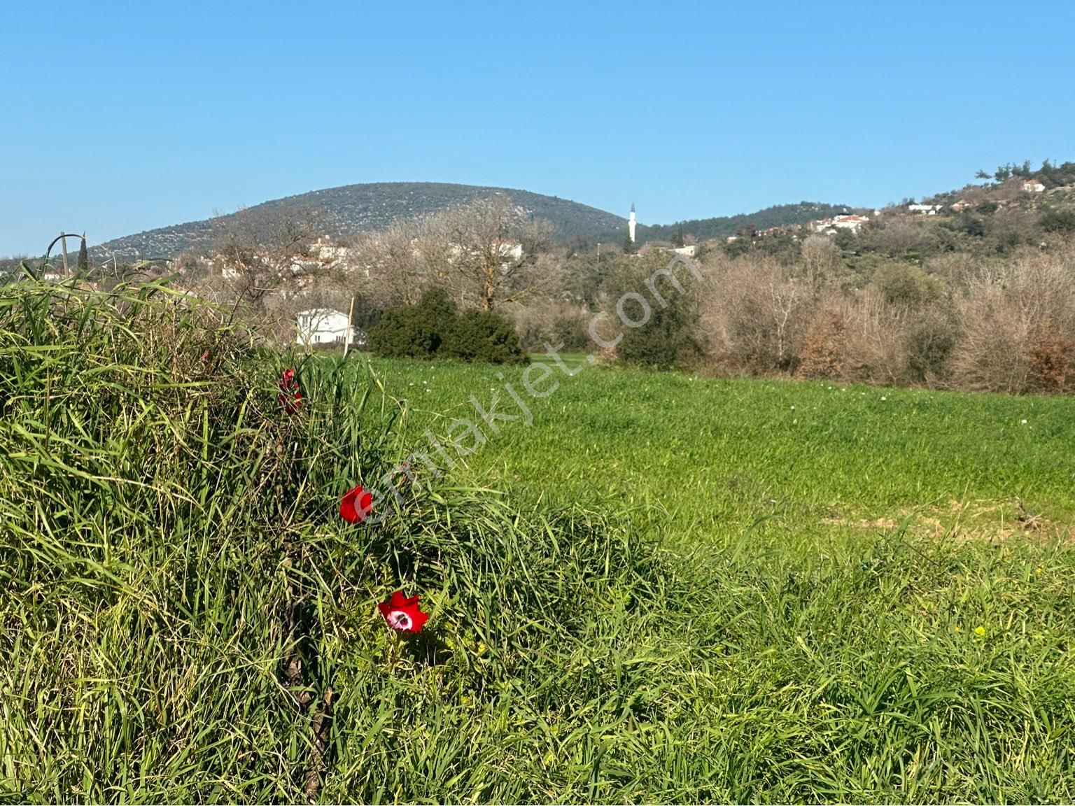 Milas Bodrum Arasında Kuzyakada 8500m2 Anayola Sıfır Satılık Tarla - Görsel 19