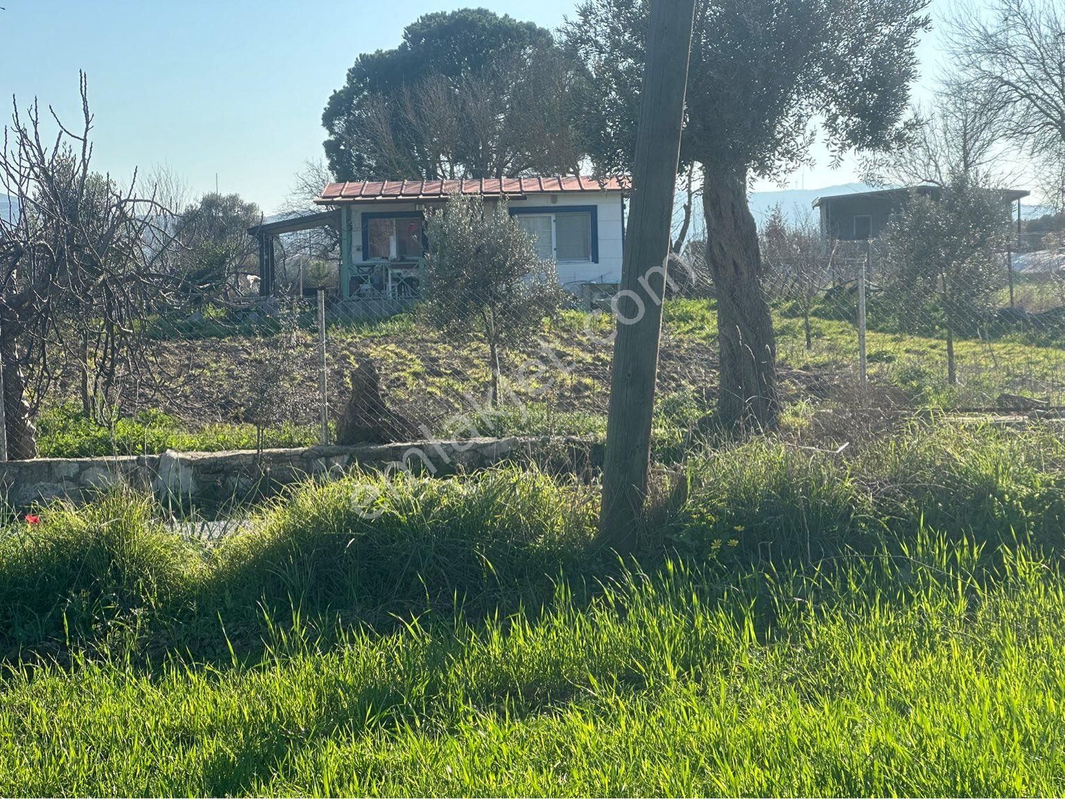 Milas Bodrum Arasında Kuzyakada 8500m2 Anayola Sıfır Satılık Tarla - Görsel 20