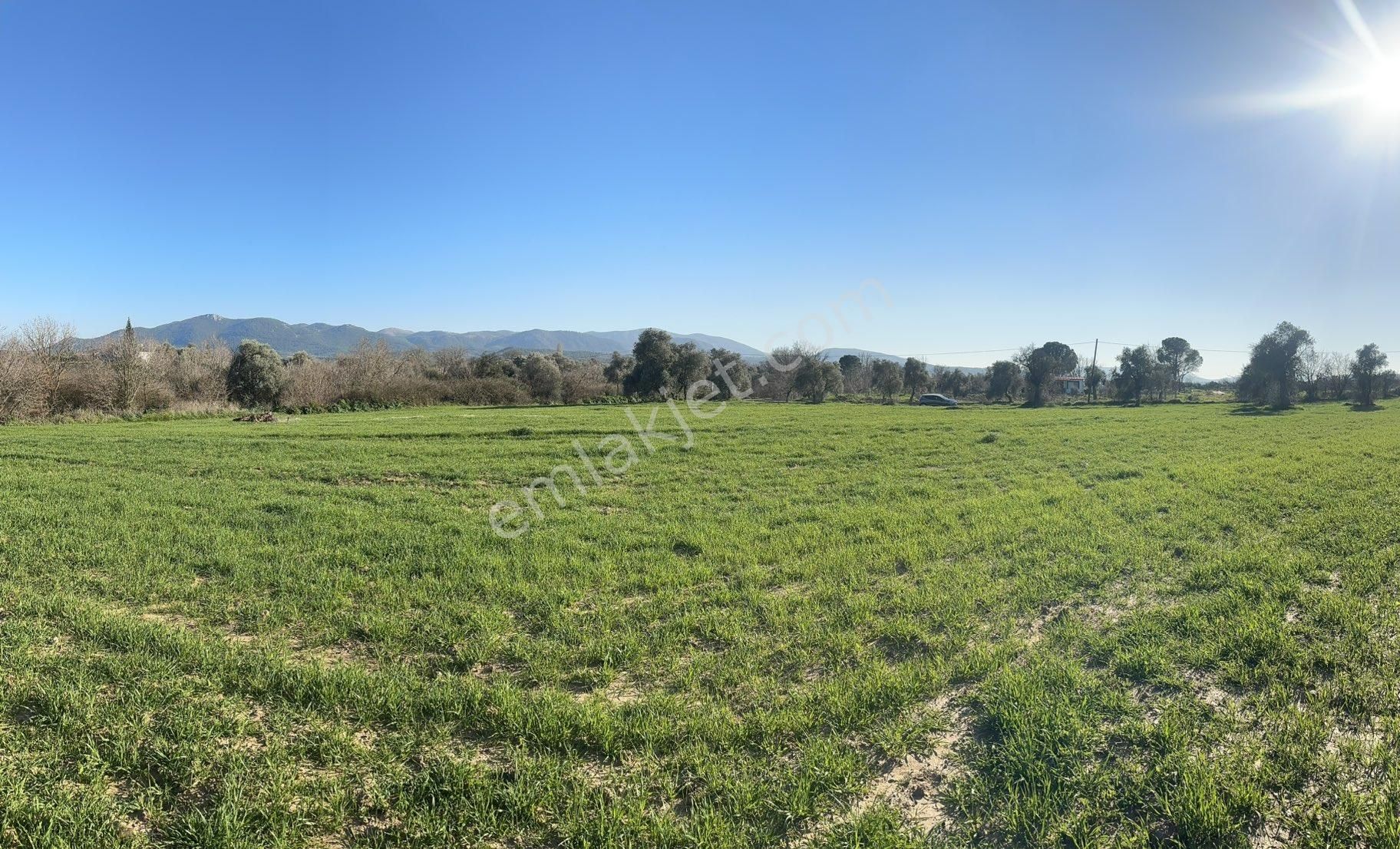 Milas Bodrum Arasında Kuzyakada 8500m2 Anayola Sıfır Satılık Tarla - Görsel 28