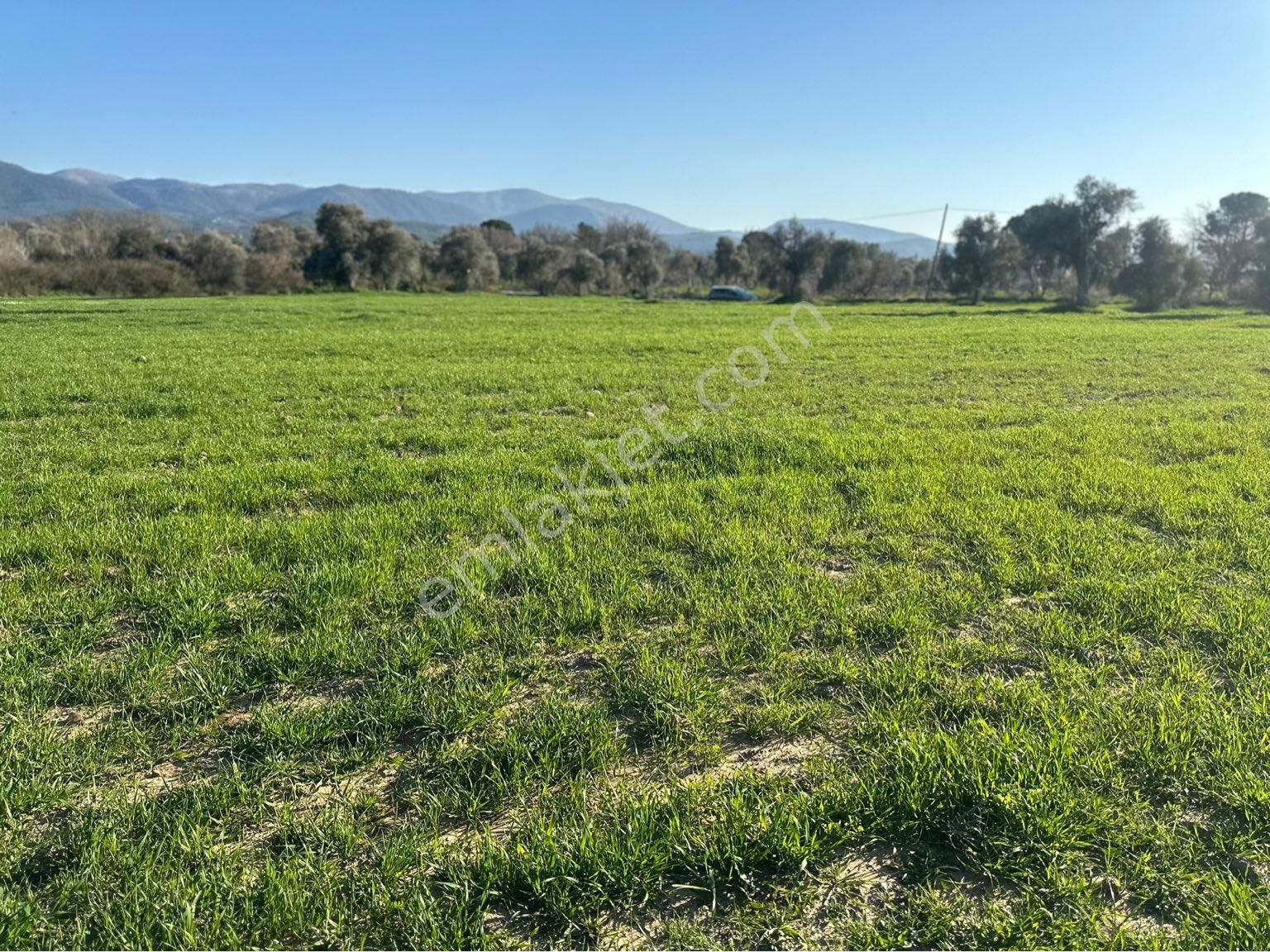 Milas Bodrum Arasında Kuzyakada 8500m2 Anayola Sıfır Satılık Tarla - Görsel 25