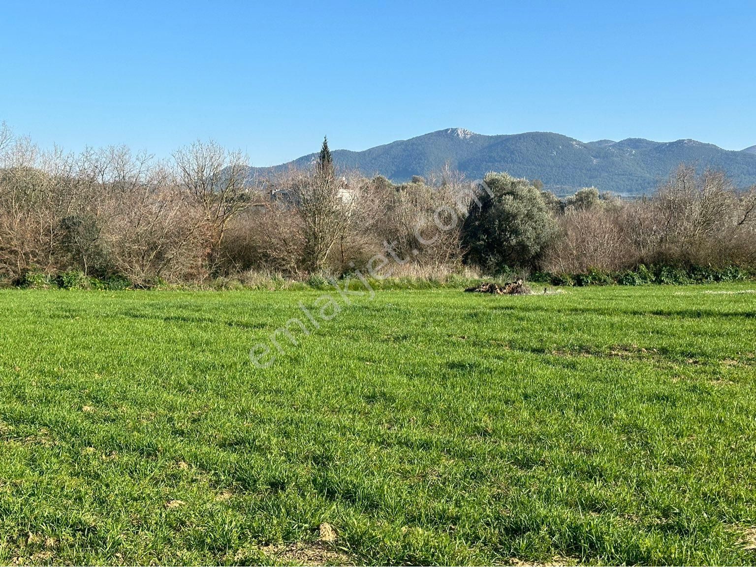 Milas Bodrum Arasında Kuzyakada 8500m2 Anayola Sıfır Satılık Tarla - Görsel 29