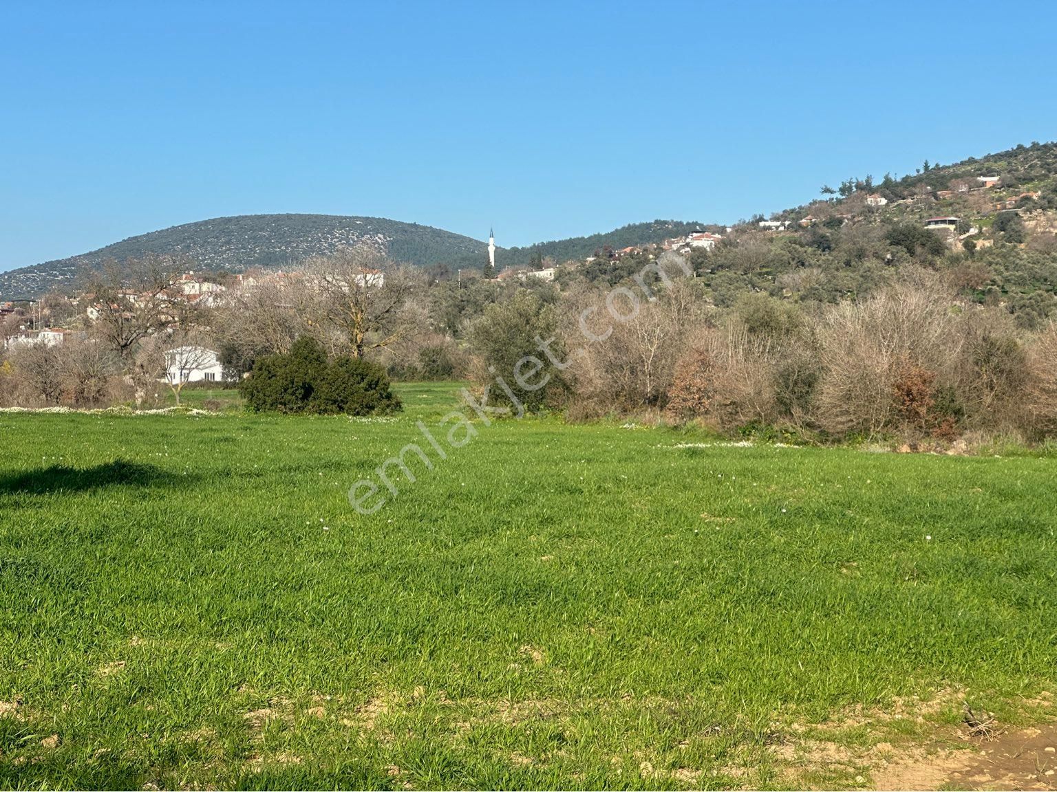 Milas Bodrum Arasında Kuzyakada 8500m2 Anayola Sıfır Satılık Tarla - Görsel 17