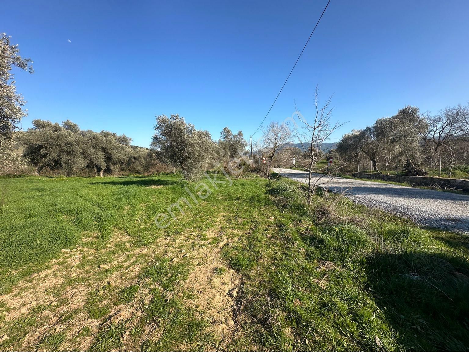 Milas Bodrum Arasında Kuzyakada 8500m2 Anayola Sıfır Satılık Tarla - Görsel 16