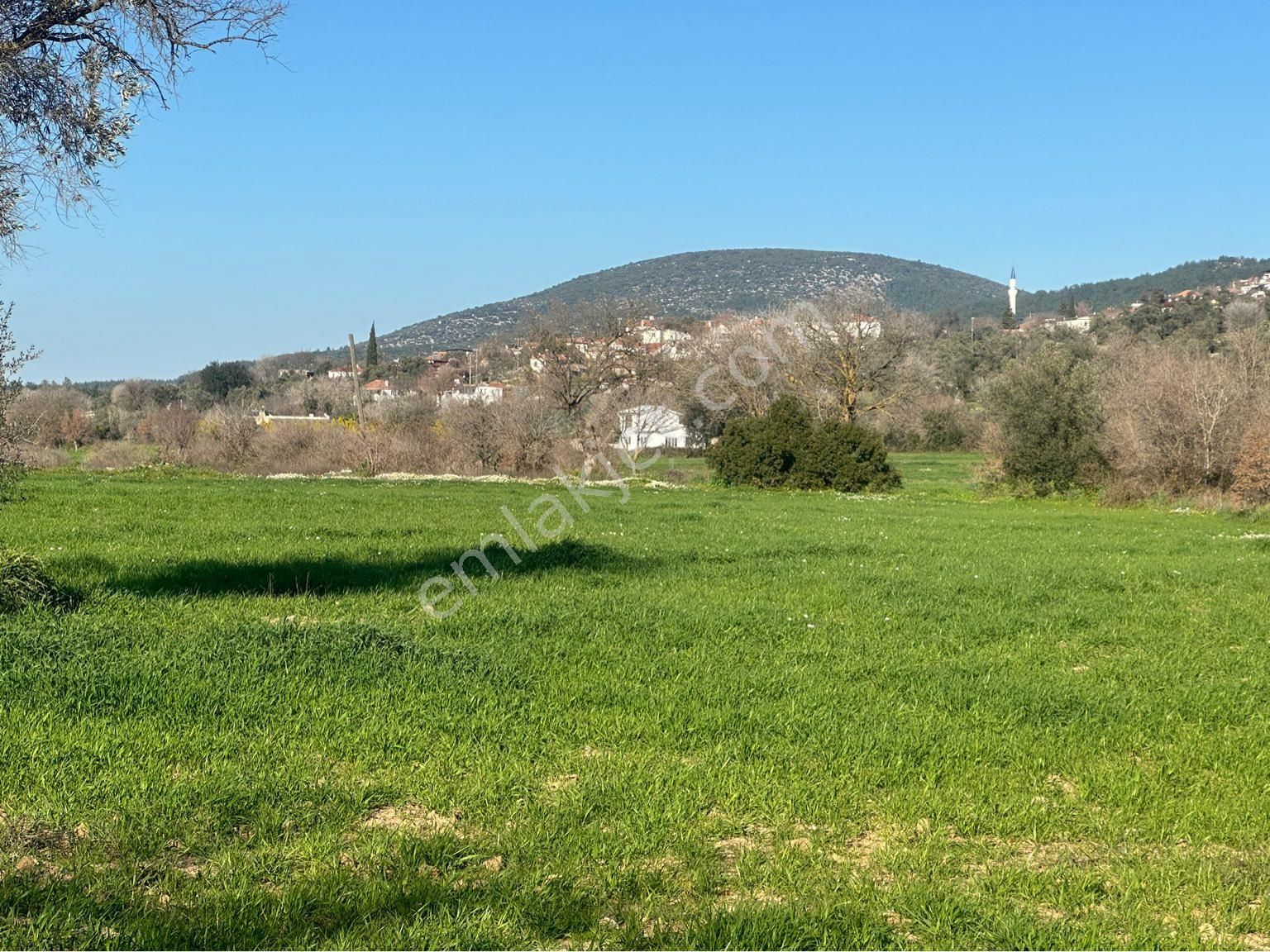 Milas Bodrum Arasında Kuzyakada 8500m2 Anayola Sıfır Satılık Tarla - Görsel 18