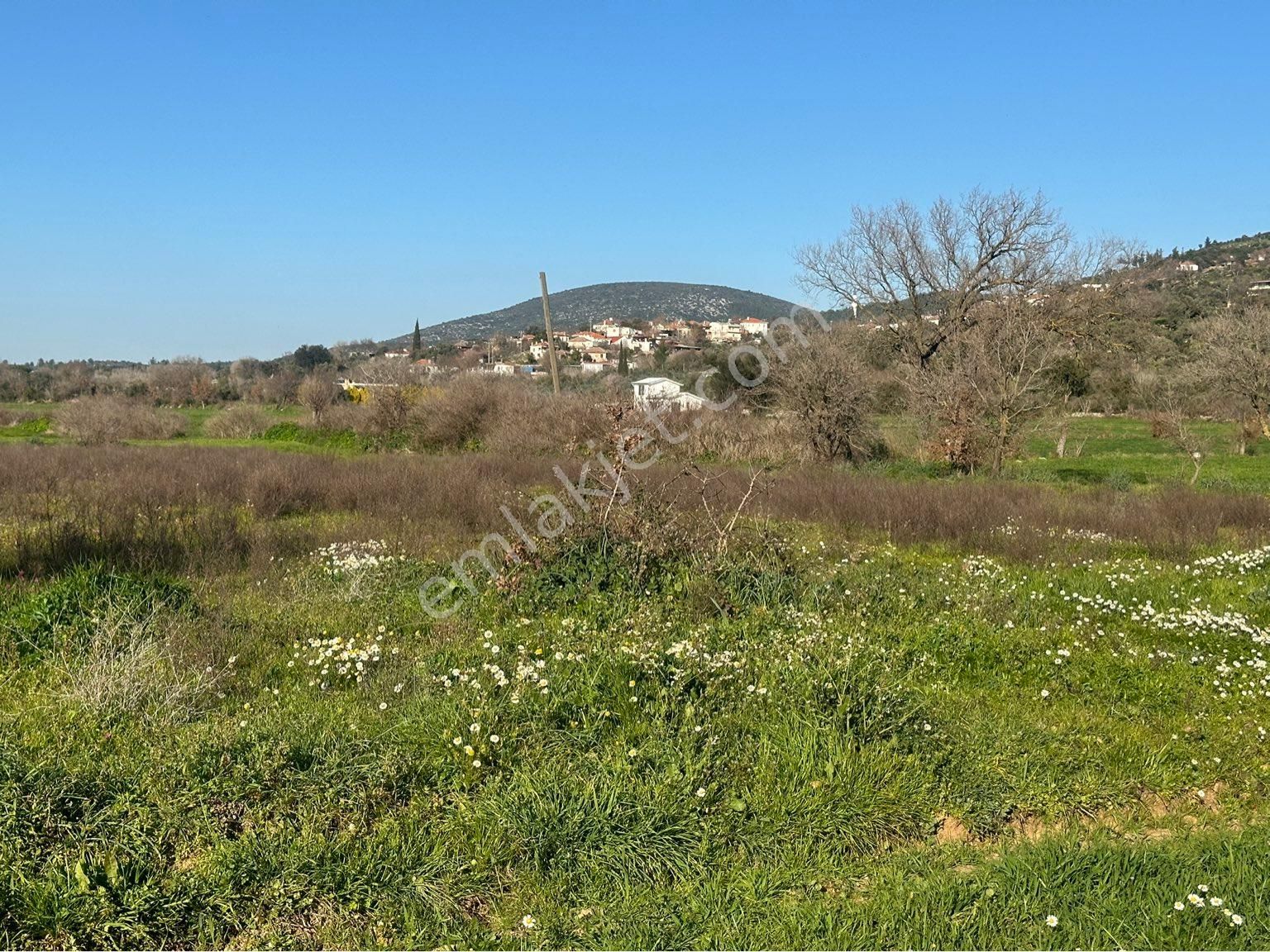 Milas Bodrum Arasında Kuzyakada 8500m2 Anayola Sıfır Satılık Tarla - Görsel 26