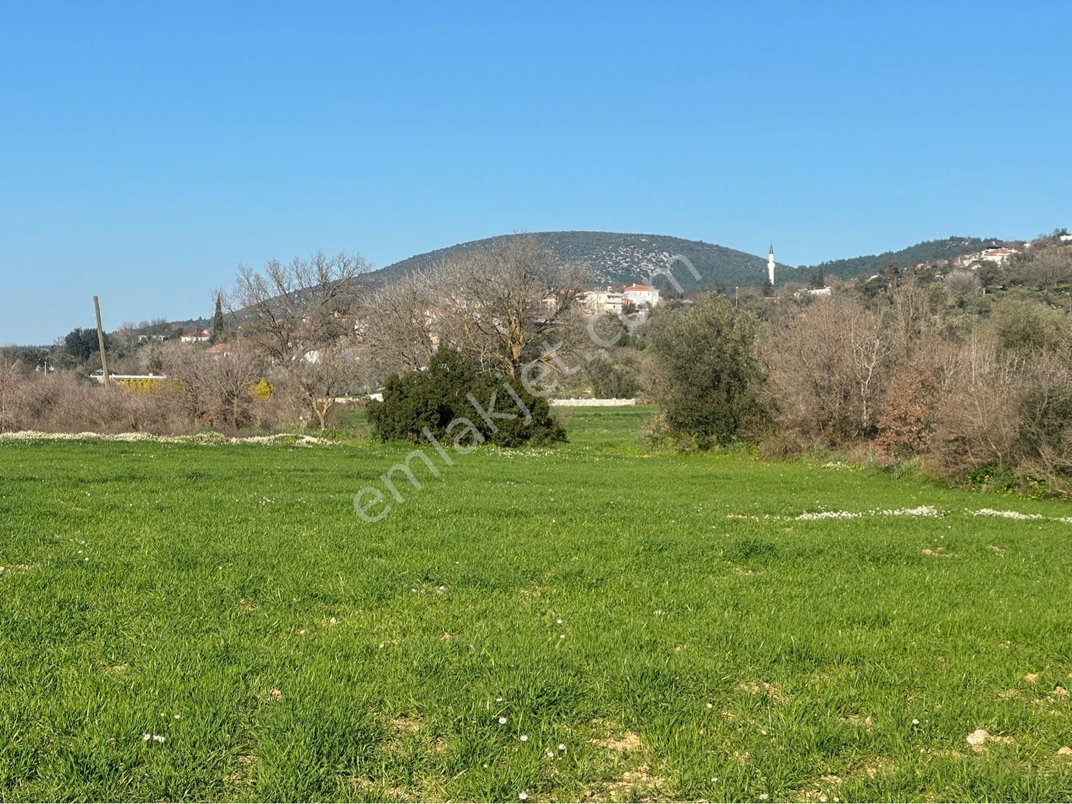 Milas Bodrum Arasında Kuzyakada 8500m2 Anayola Sıfır Satılık Tarla - Görsel 4