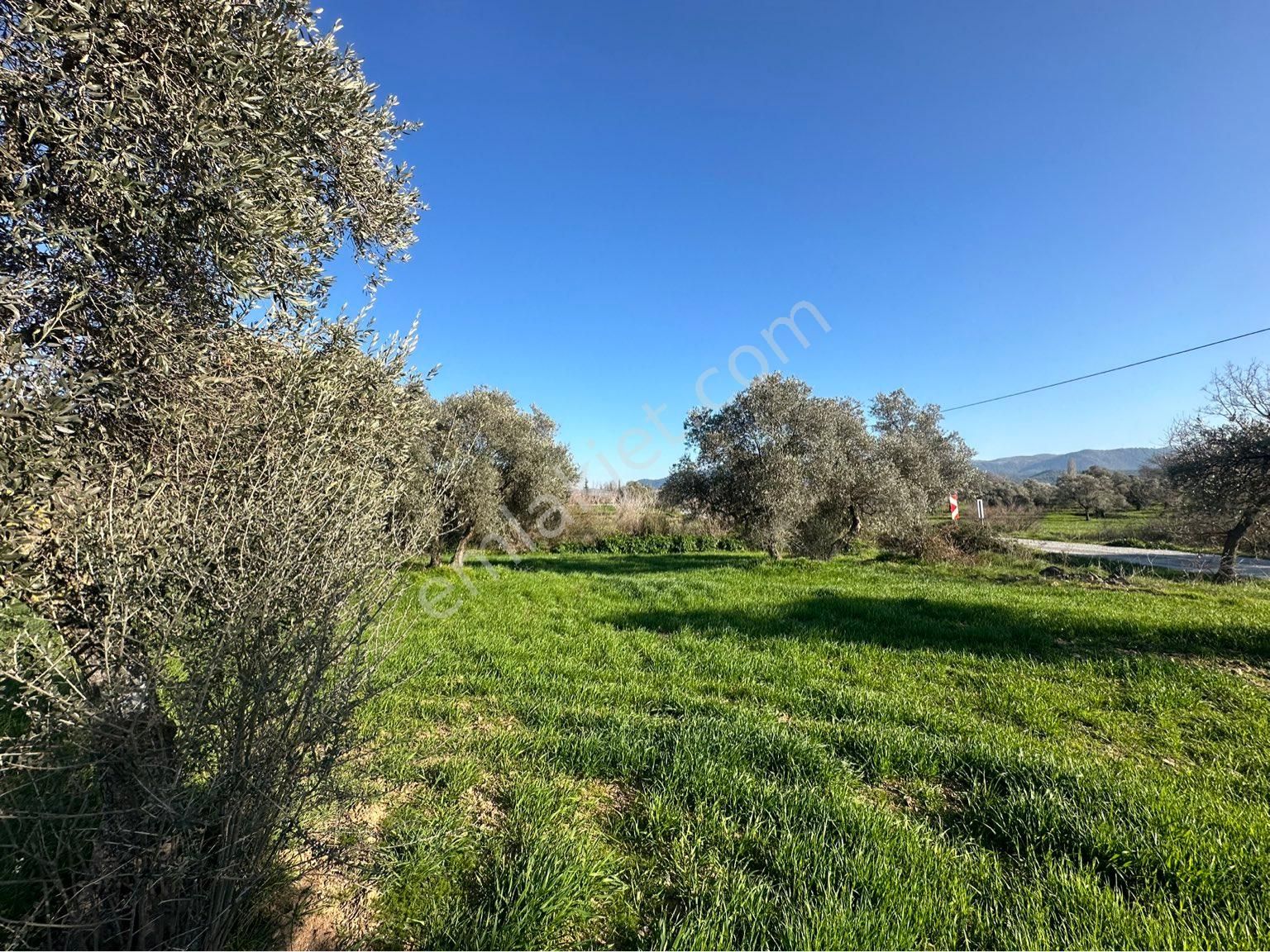 Milas Bodrum Arasında Kuzyakada 8500m2 Anayola Sıfır Satılık Tarla - Görsel 11