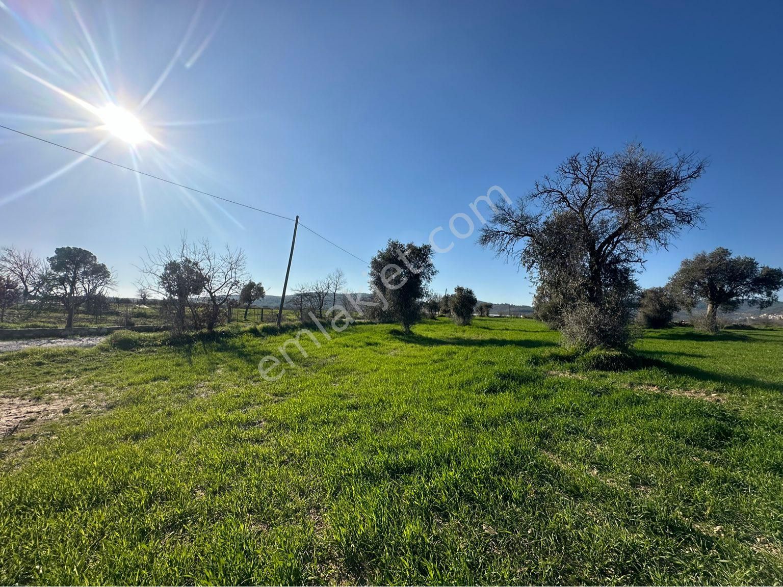 Milas Bodrum Arasında Kuzyakada 8500m2 Anayola Sıfır Satılık Tarla - Görsel 12