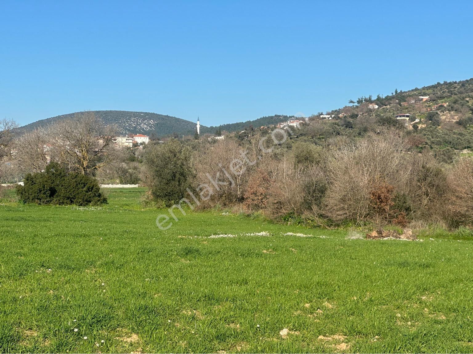 Milas Bodrum Arasında Kuzyakada 8500m2 Anayola Sıfır Satılık Tarla - Görsel 6