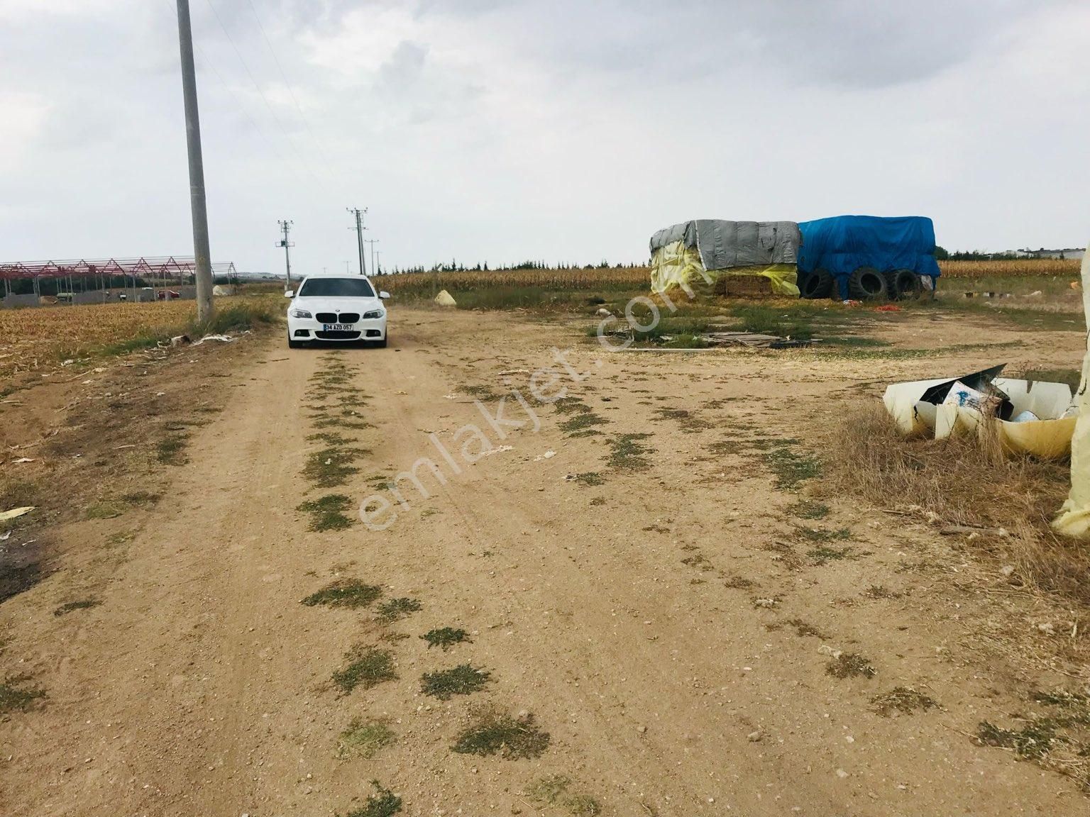 Kırklareli Merkez Değirmencik Köyü Satılık Çiftlik Kullanıma hazır çiftlik