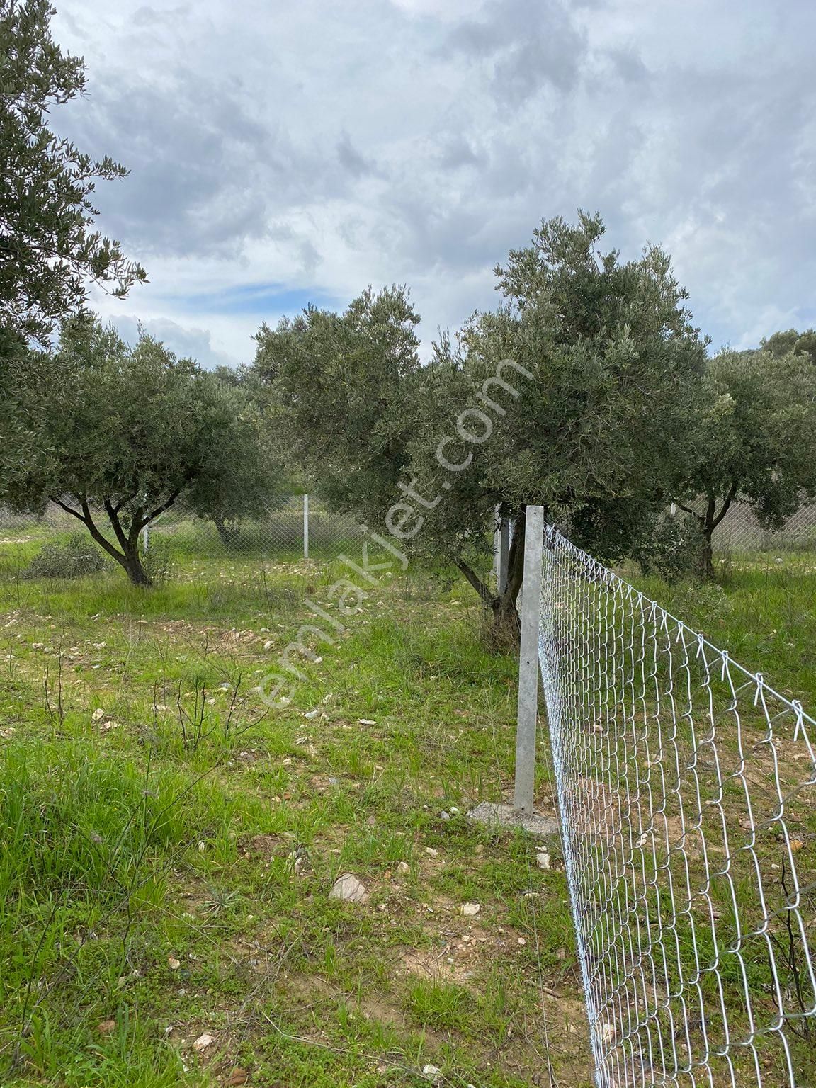 Torbalı Karakızlar Satılık Tarla Torbalı Karakızlarda Yatırım Fırsatı