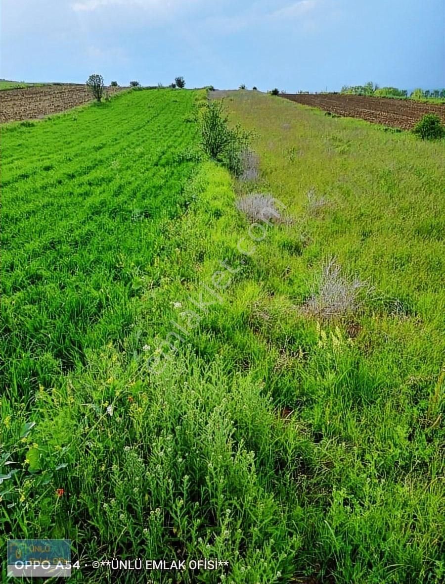 Kastamonu Merkez Gölköy Köyü Satılık Tarla ÜNLÜ EMLAKTAN KUZEYKENTE 6KMDE HOBİ BAHCESİNE UYGUN ÖZEL ARAZİ