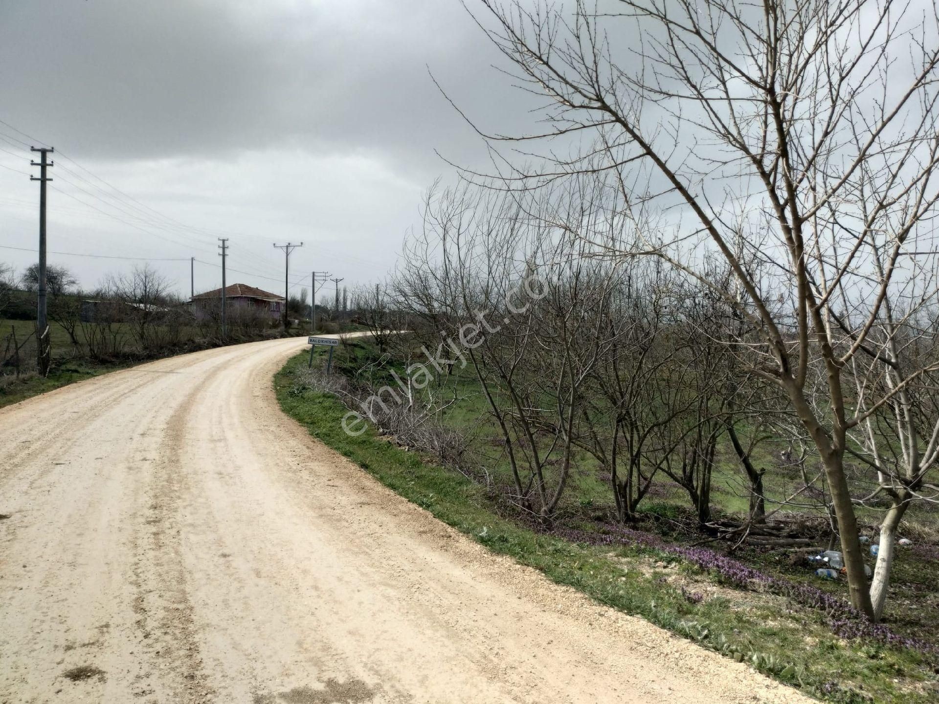 Osmaneli Balçıkhisar Köyü Satılık Tarla imarlı arsa