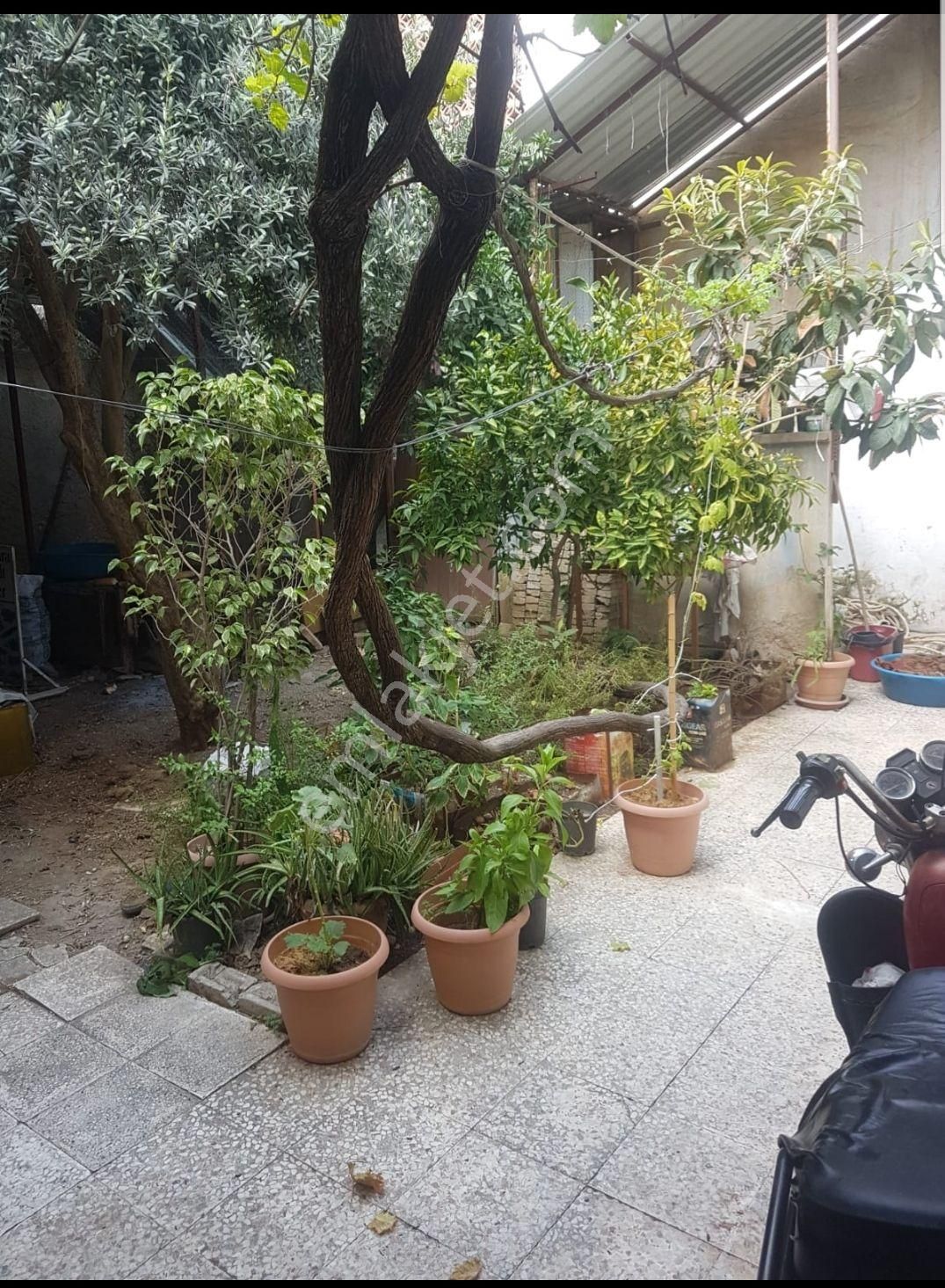 Yavuzlarda Müstakil Geniş Bahçeli - Görsel 12