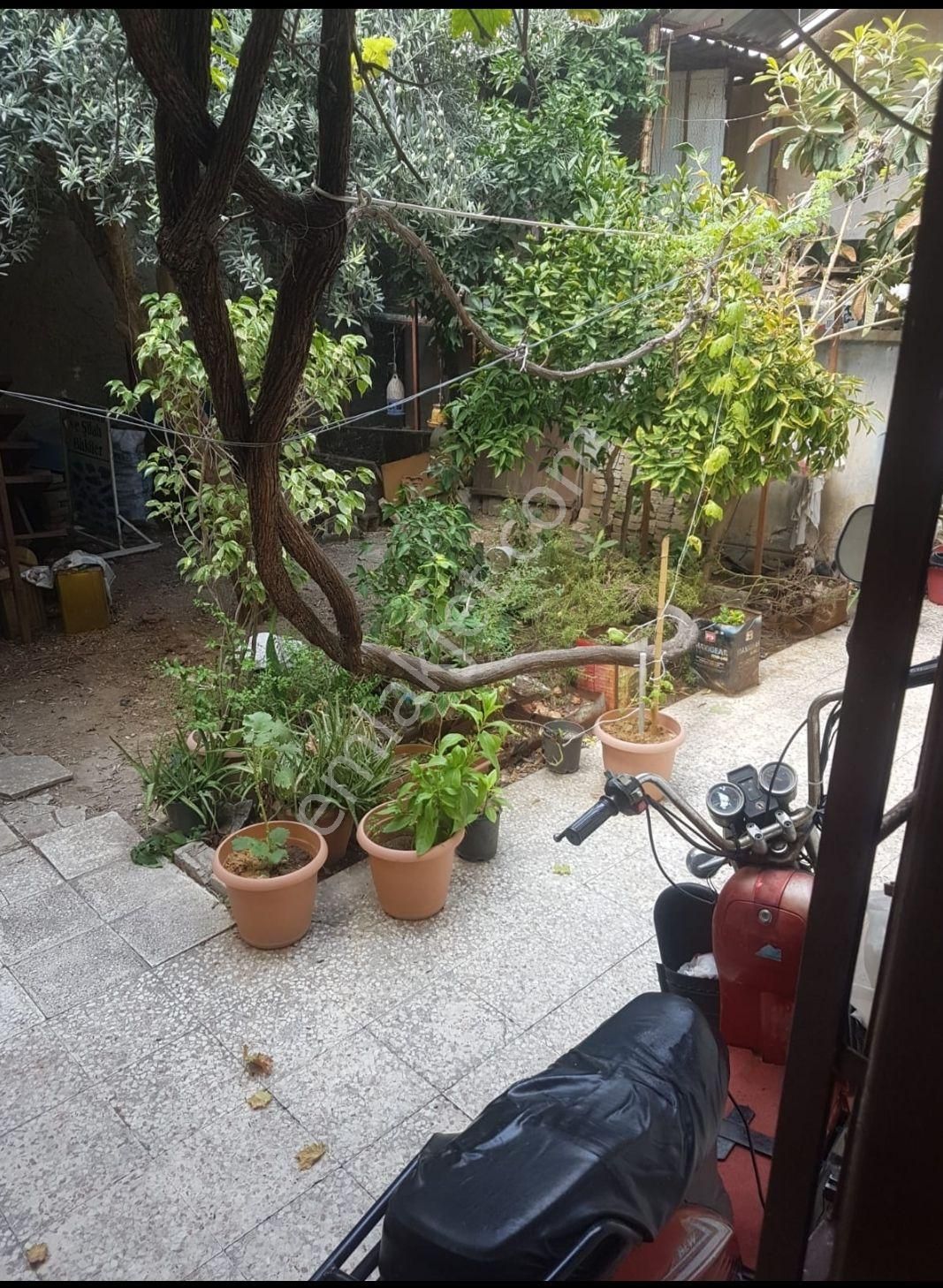 Yavuzlarda Müstakil Geniş Bahçeli - Görsel 13