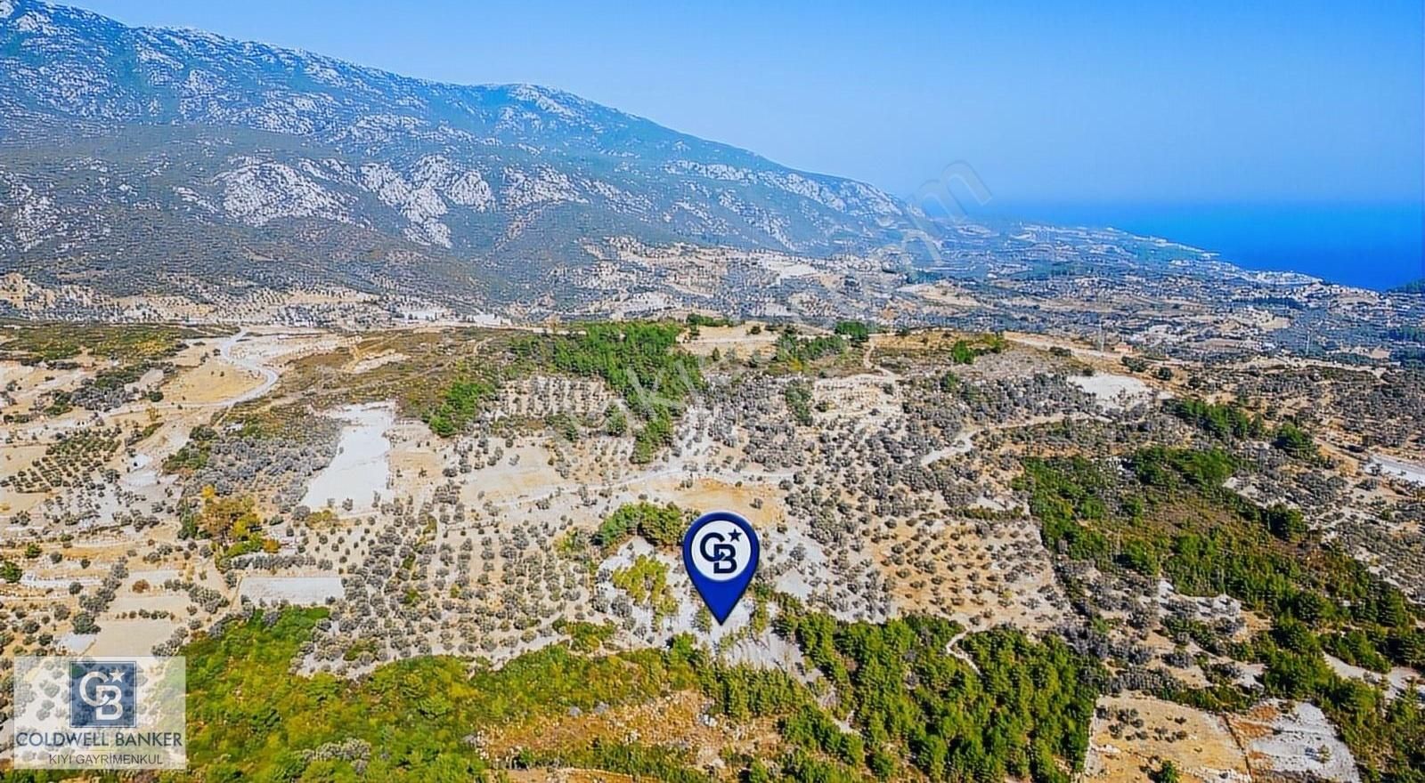 Karaburun Eğlenhoca'da 3990 M2 Satılık Tarla - Görsel 15