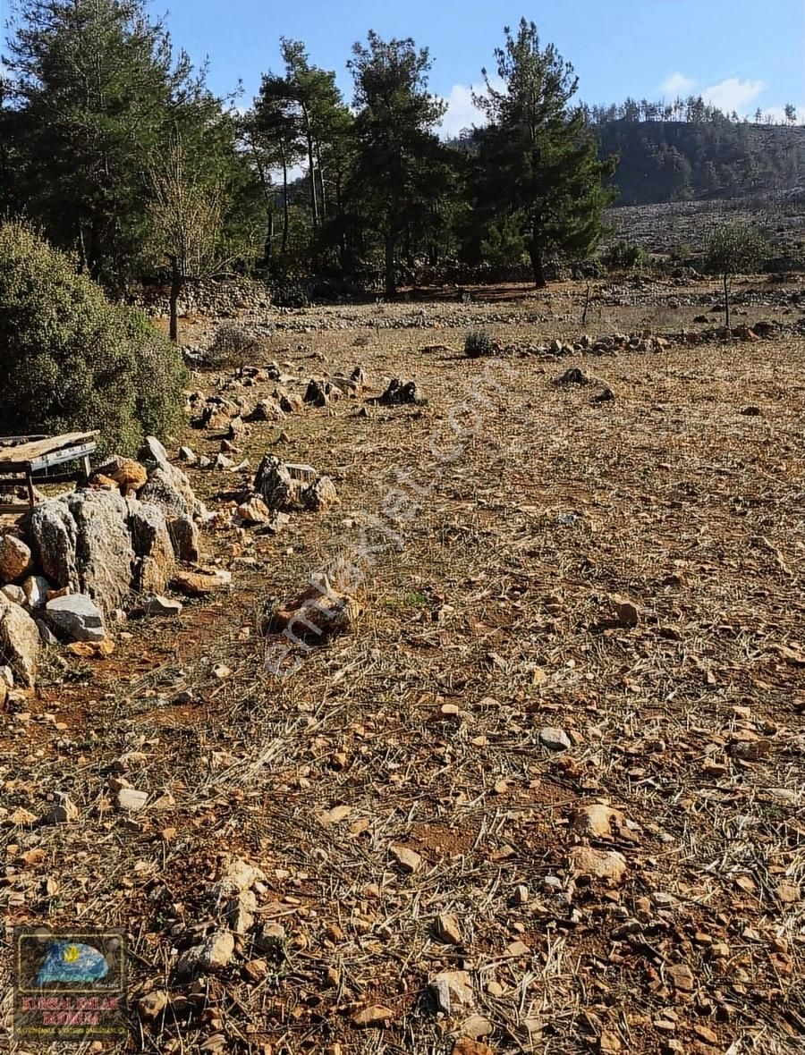 Milas Demirciler Satılık Tarla Milas Demirciler Köyünde İmar Yolu Olan Satılık Tarla