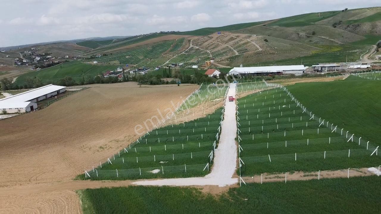 Akyurt Kızık Satılık Bağ & Bahçe Satılık Elektirik Sulu Hobi Bahçesi