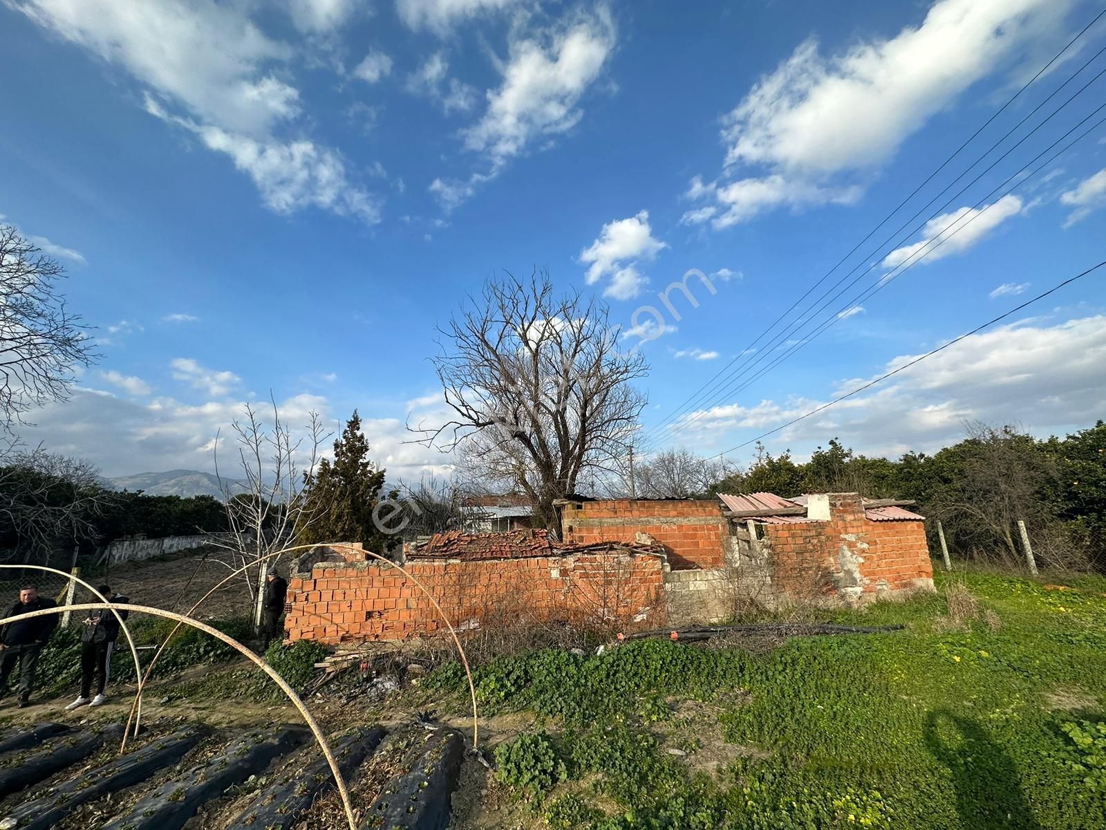 İsabeyli De Ana Yolun Alt Tarafında 10 Dönüm Çiftlik Ve Tarla - Görsel 10