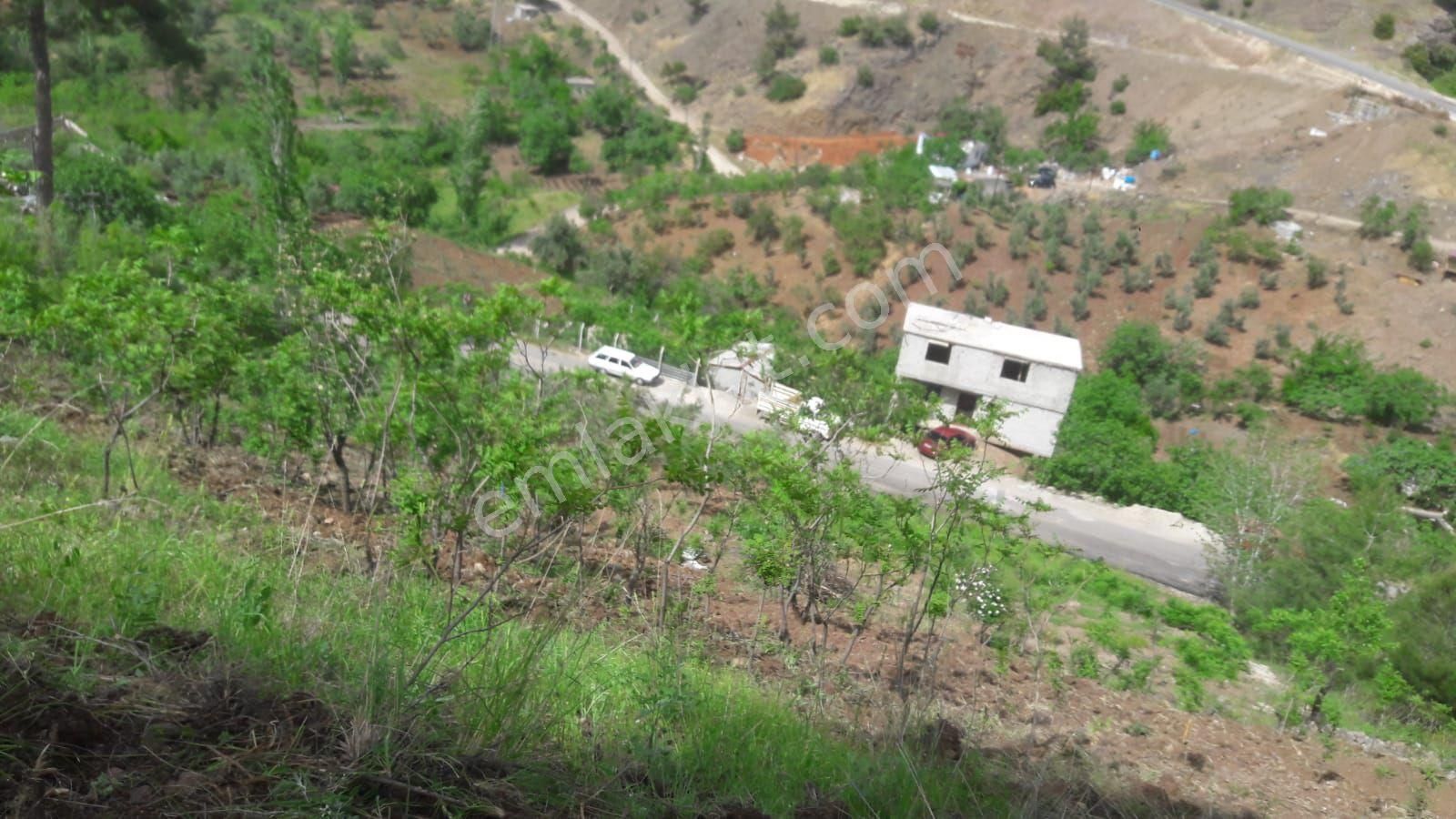 Onikişubat Kılavuzlu Satılık Bağ & Bahçe BEYAZ emlak tan satılık bağ 