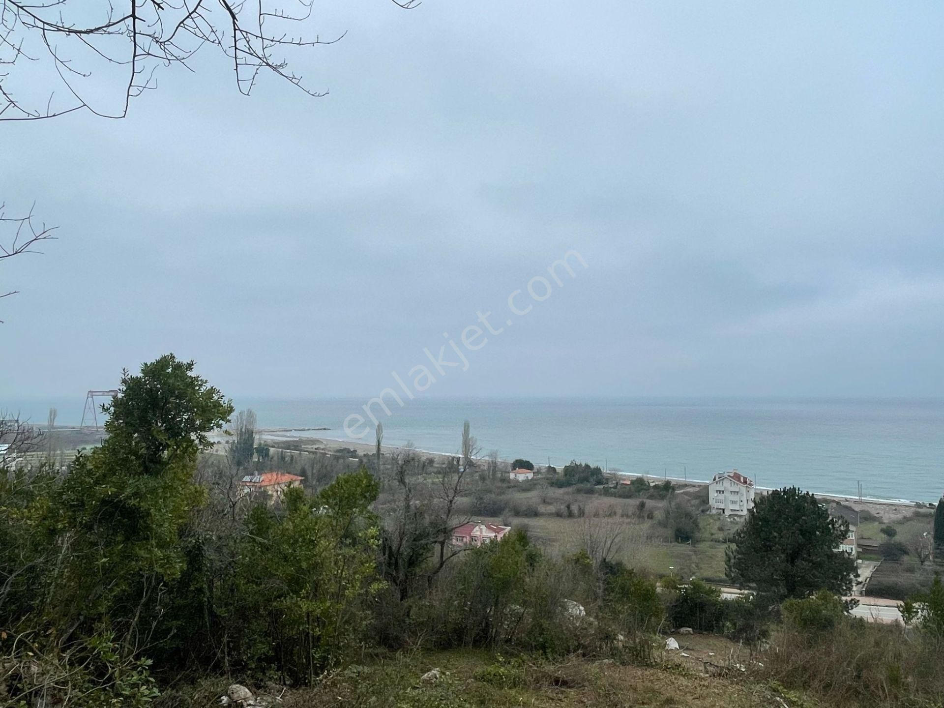 Cide Irmak Satılık Konut İmarlı DENİZ MANZARALI İMARLI SATILIK TARLA