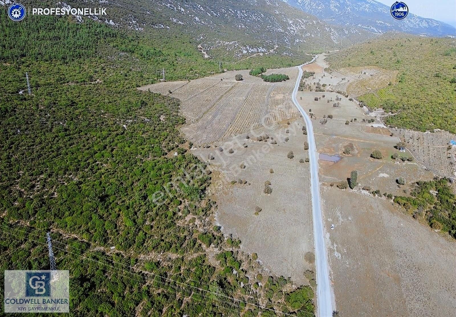 Karaburun Eğlenhoca Satılık Tarla Karaburun Eğlenhoca'da 3713 M² Tarla