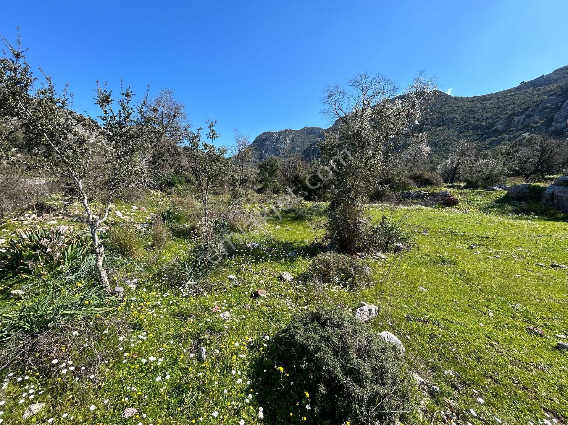 Marmaris Bozburun Satılık Tarla MARMARİS LİDER EMLAK SELİMİYEDEN BOZBURUN DA SATİLİK TARLA 