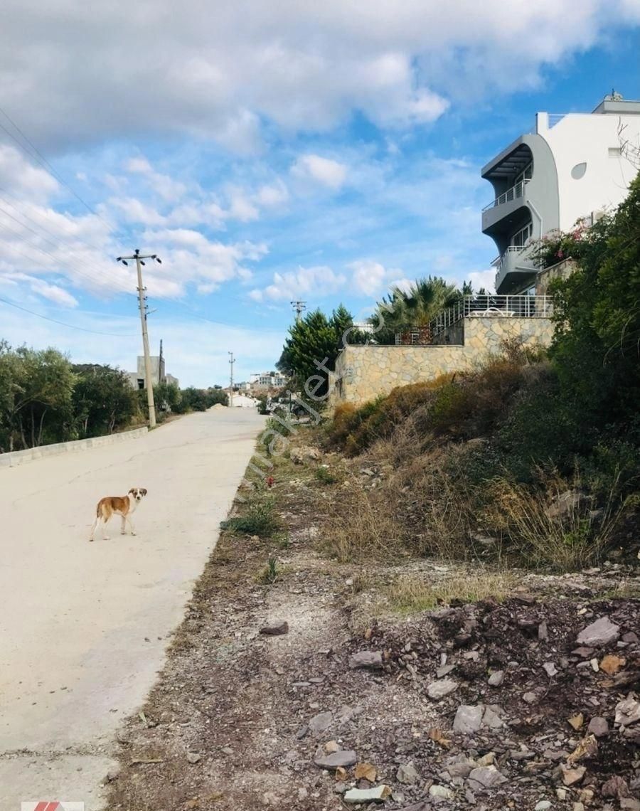 Bodrum Adabükünde Deniz Manzaralı Satılık Arsa - Görsel 2
