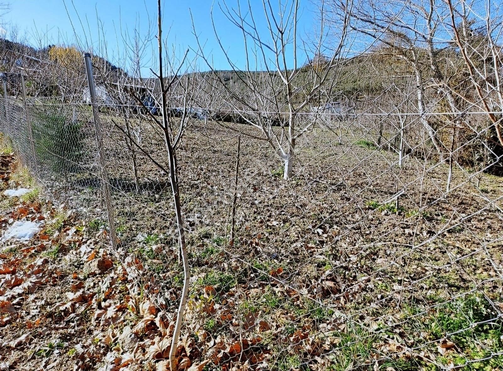 Mudanya Dereköy Satılık Tarla MUDANYA DEREKÖY SATILIK TEK TAPU YOL SU ELEKTRİĞİ OLAN ARAZİ