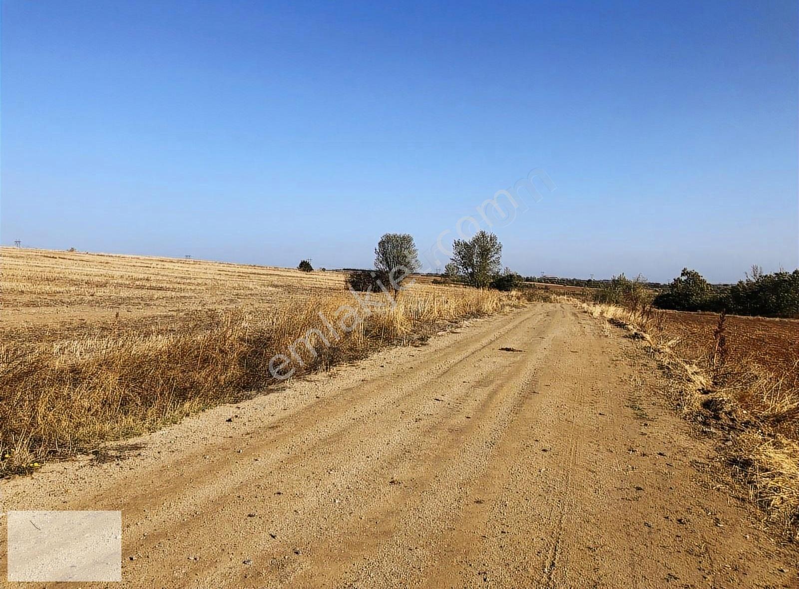 Edirne Uzunköprü Değirmenci Köyünde 352m2 Hisse - Görsel 2