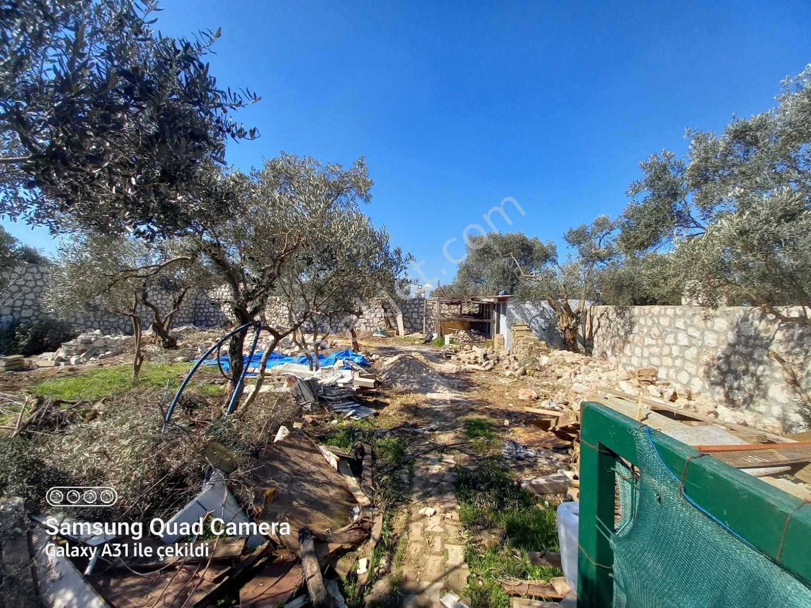 Hakyol'dan 1600 M2 Havuzlu Bağ Bahçeli Dubleks Süper Bir Villa - Görsel 5