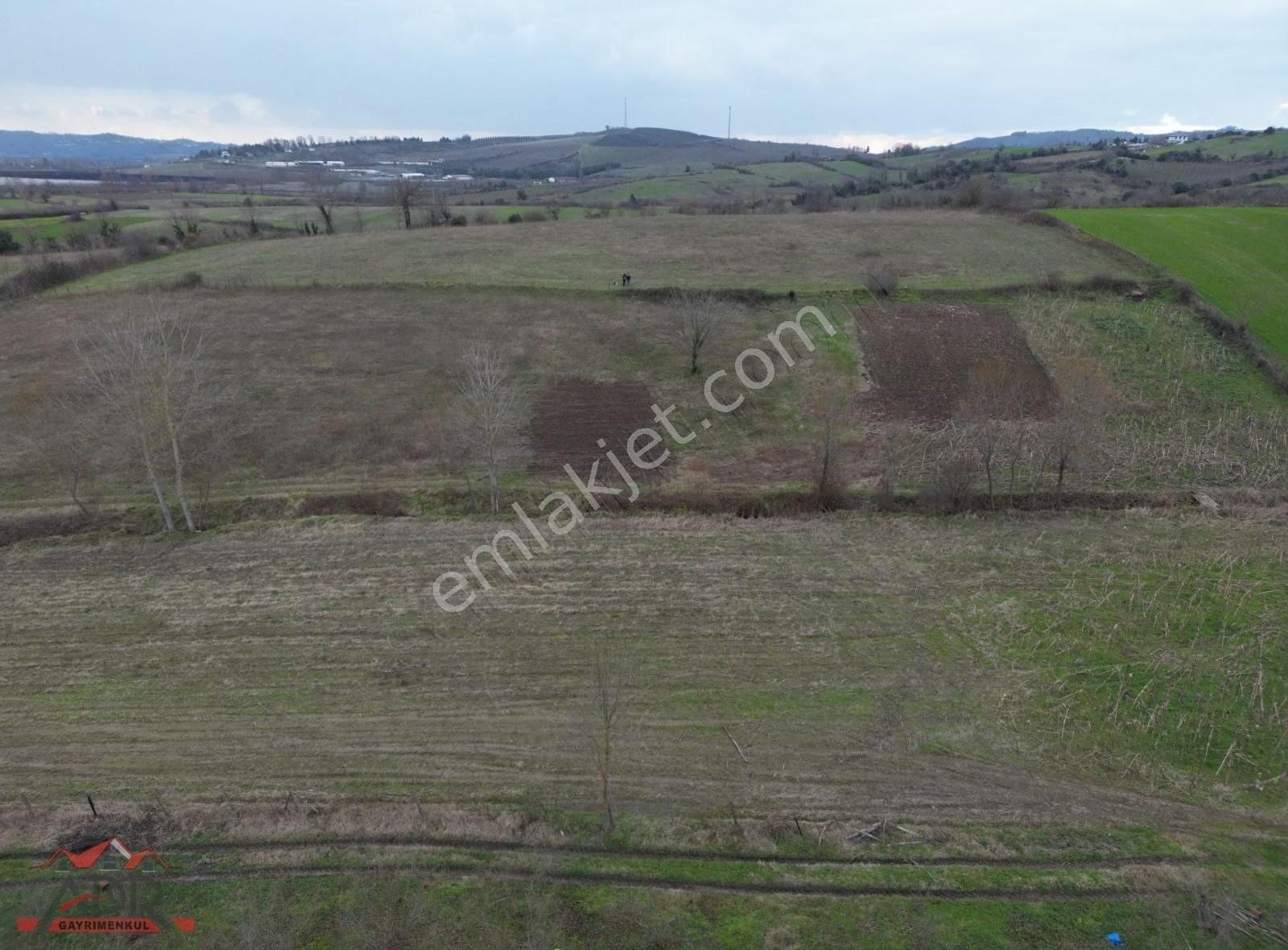 Sakarya Karasu Darıçayırı Yeni Osb De 4168 M2 Satılık Arsa - Görsel 13