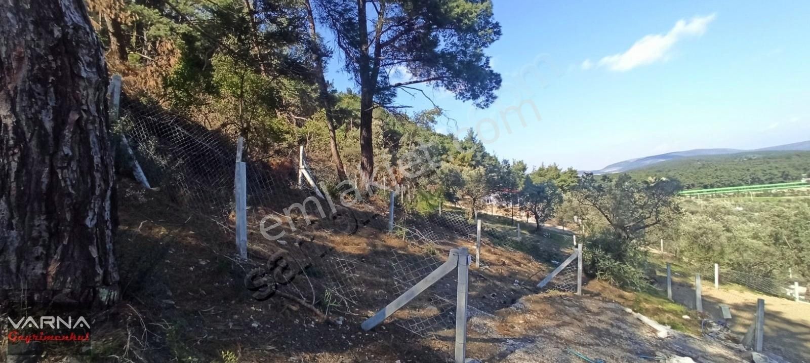 Menderes Ataköy 270 M2 Doğanın İcinde Bahce - Görsel 17