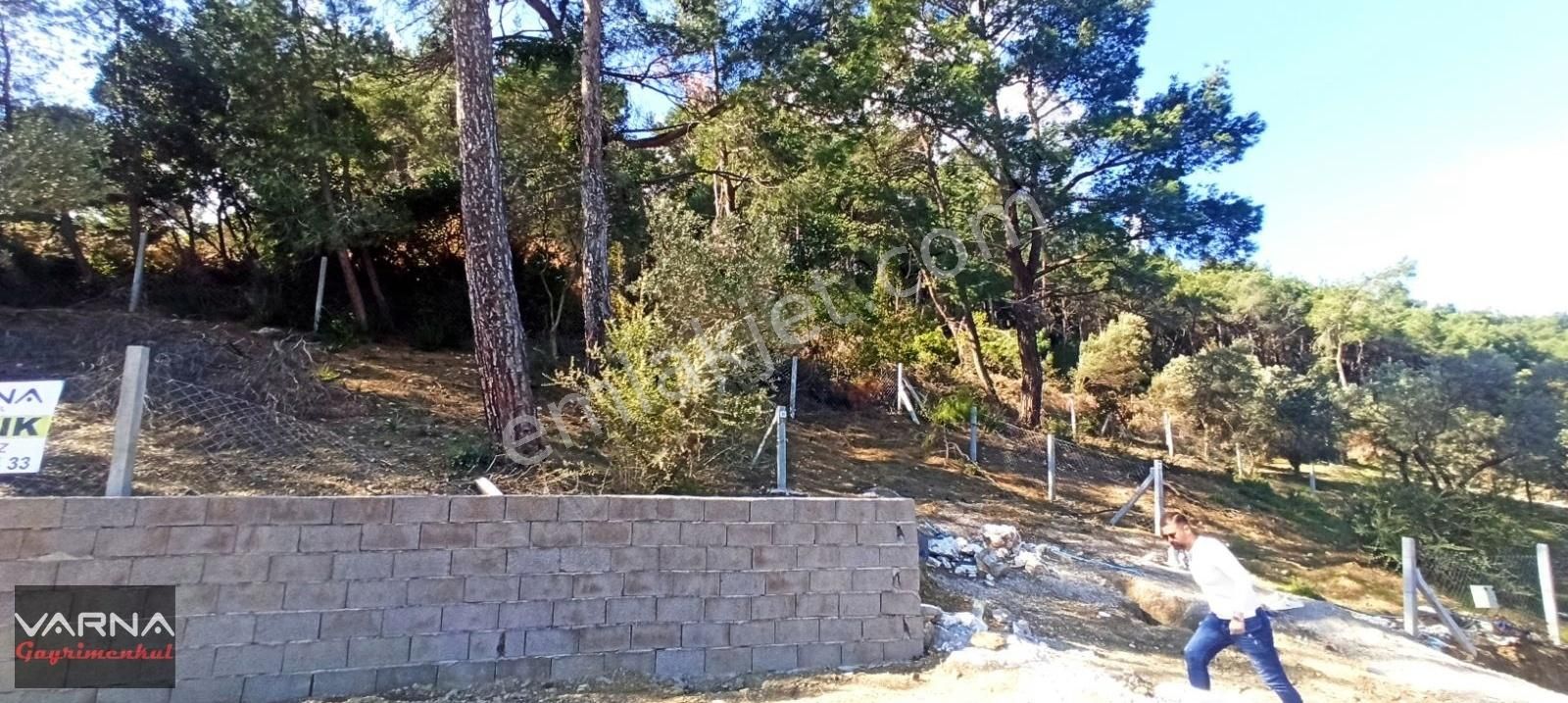 Menderes Ataköy 270 M2 Doğanın İcinde Bahce - Görsel 13