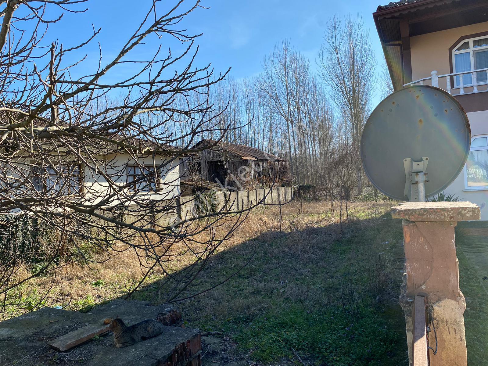 Sahibinden Sakarya/akyazı Acil Satılık 4+1 Villa Ve İmarlı Arsa Toplam 4001 Metrekare - Görsel 4