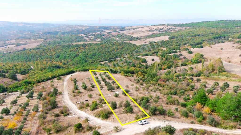 Lapseki Çardak Bld. (Gaziyakupbey) Satılık Tarla Çanakkale Lapseki Mecidiye'de Köprü Ve Boğaz Manzaral1 3600 M2 Süper Tarla