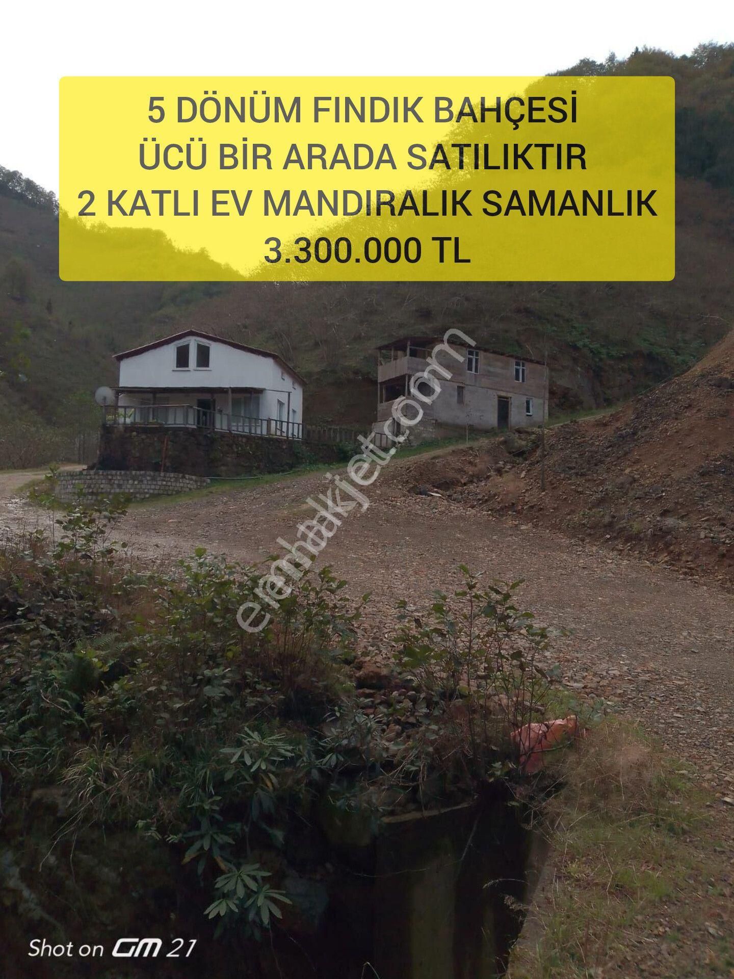 Giresun Merkez Hamidiye Köyü (Karga Tarlası) Satılık Bağ & Bahçe (20 )5 Dönüm Fındık Bahçesi Ücü Bir Arada Satılıktır 2 Katlı Ev Mandıralık Samanlık