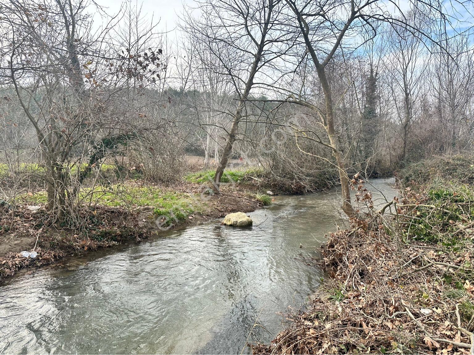 Yenişehir İncirli Satılık Tarla Bursa Yenişehir İncirli Mahallesi Satılık Tarla