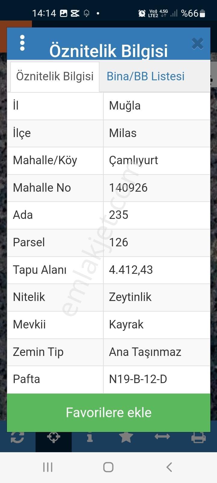 Meydan Gayrimenkul'den Muğla Milas Çamlıyurt'da 4.412 M2 Zeytinlik! - Görsel 18