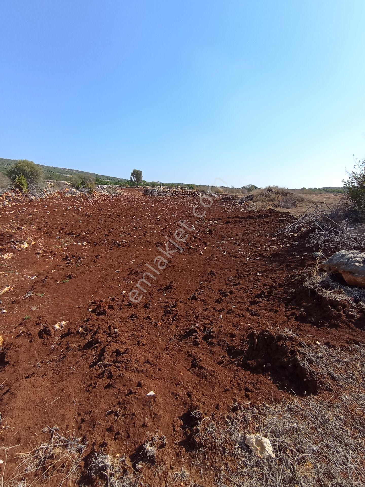 Ayaş Da 1500 M2 Ev Ve Bahçelik Toprak İmarlı Tarla Erdemli - Görsel 10