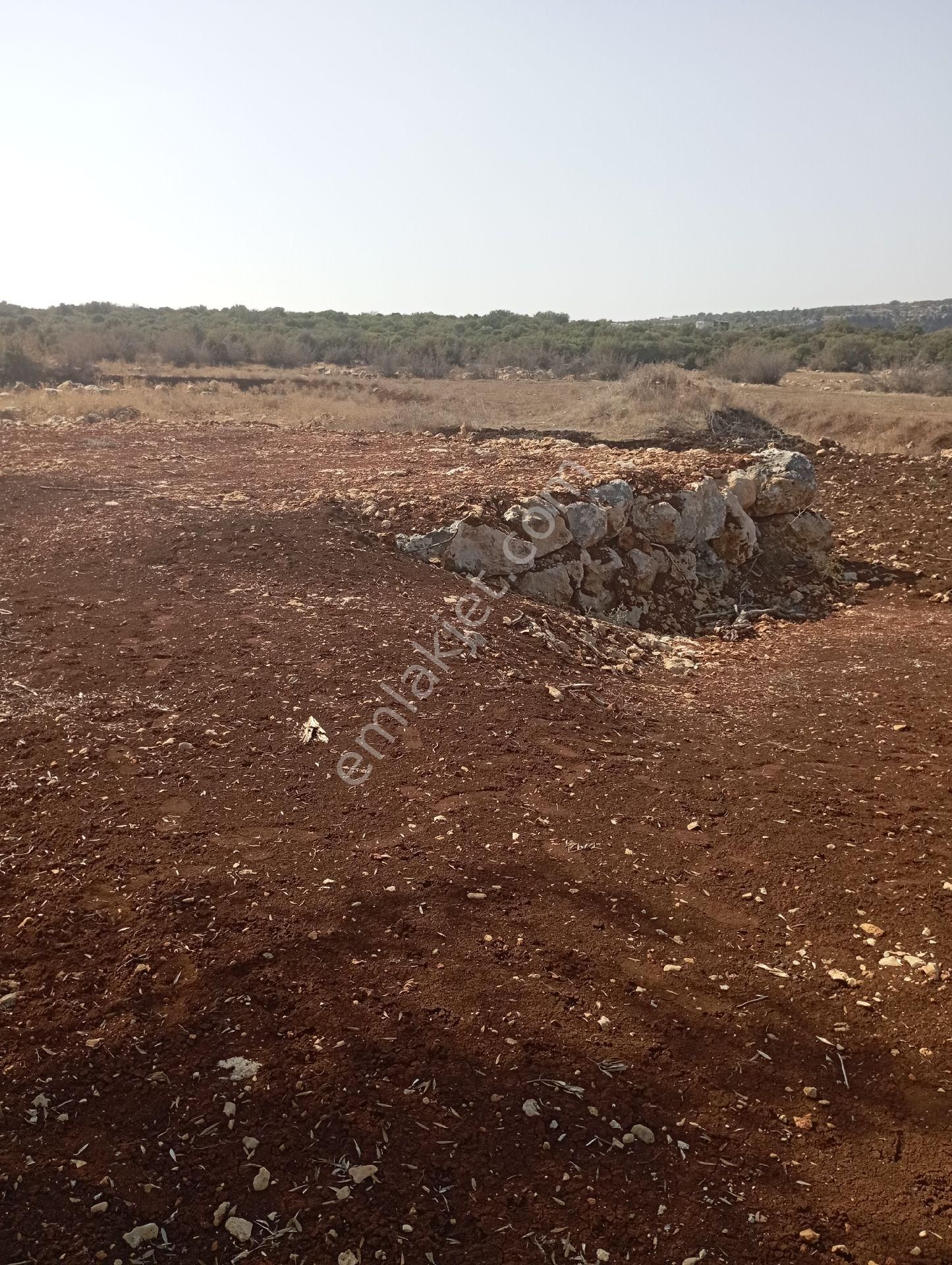 Ayaş Da 1500 M2 Ev Ve Bahçelik Toprak İmarlı Tarla Erdemli - Görsel 2