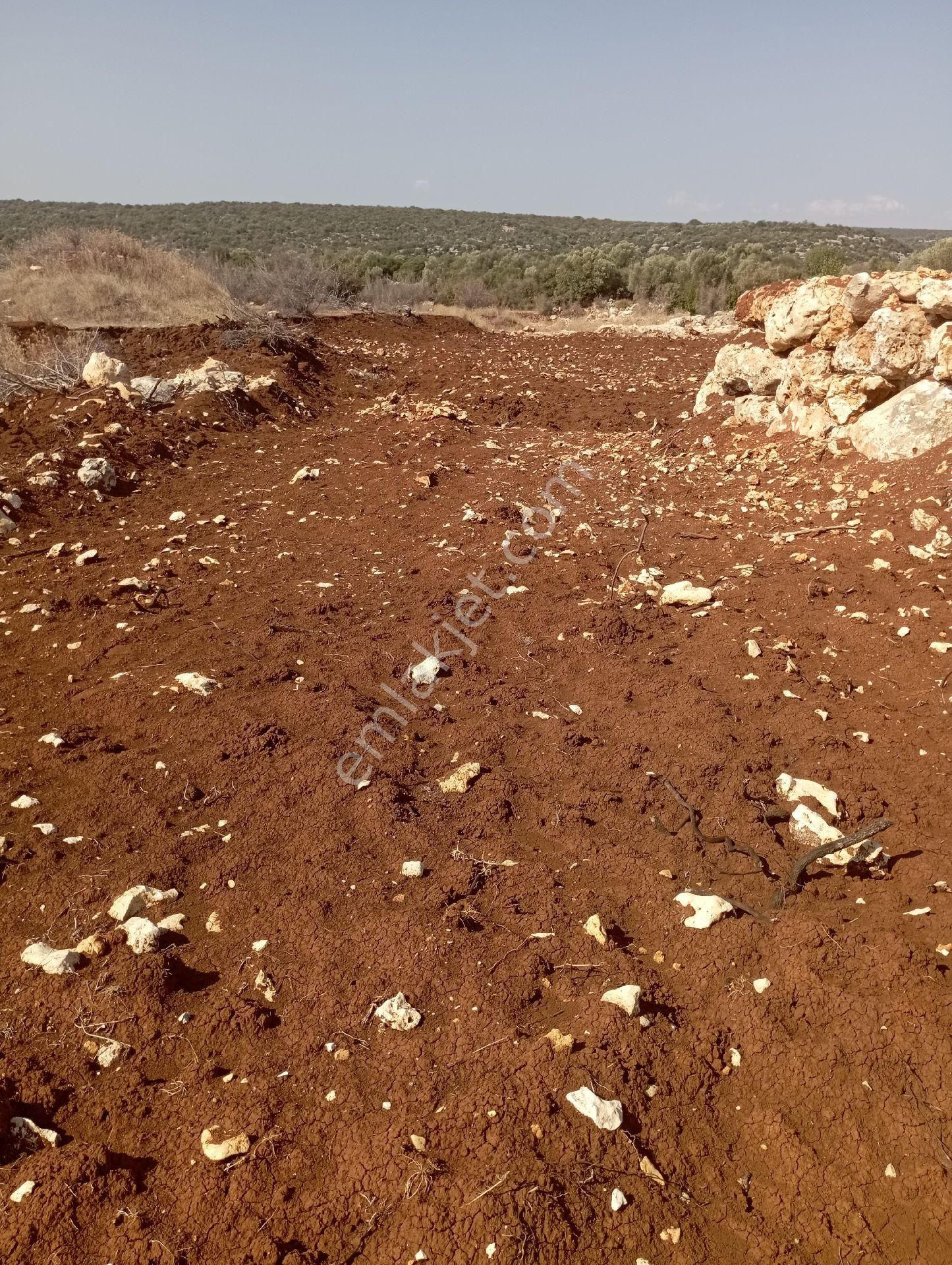 Ayaş Da 1500 M2 Ev Ve Bahçelik Toprak İmarlı Tarla Erdemli - Görsel 12