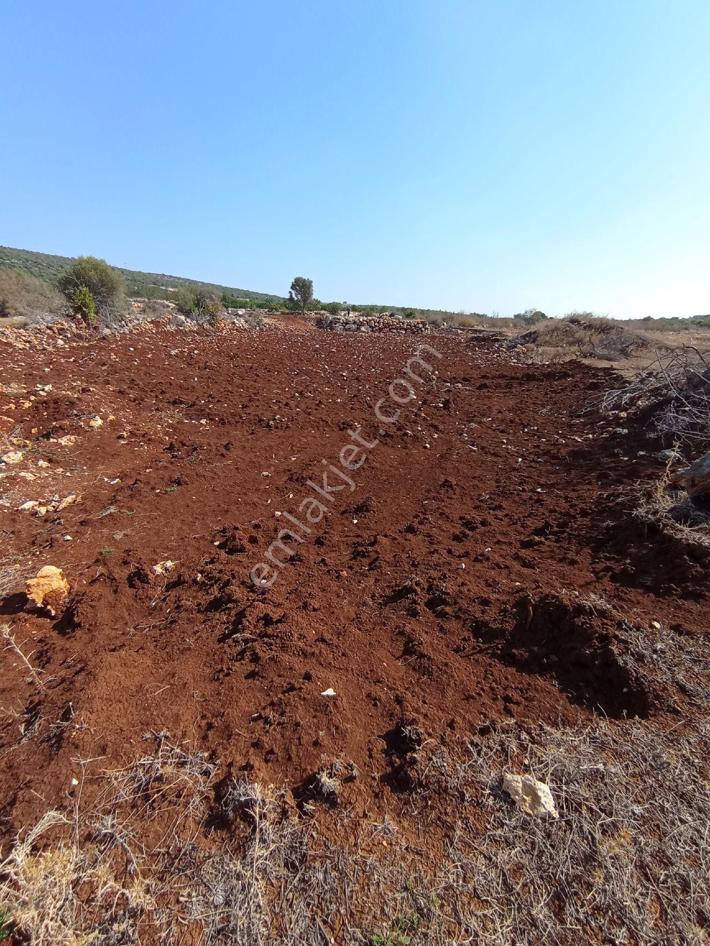 Ayaş Da 1500 M2 Ev Ve Bahçelik Toprak İmarlı Tarla Erdemli - Görsel 6