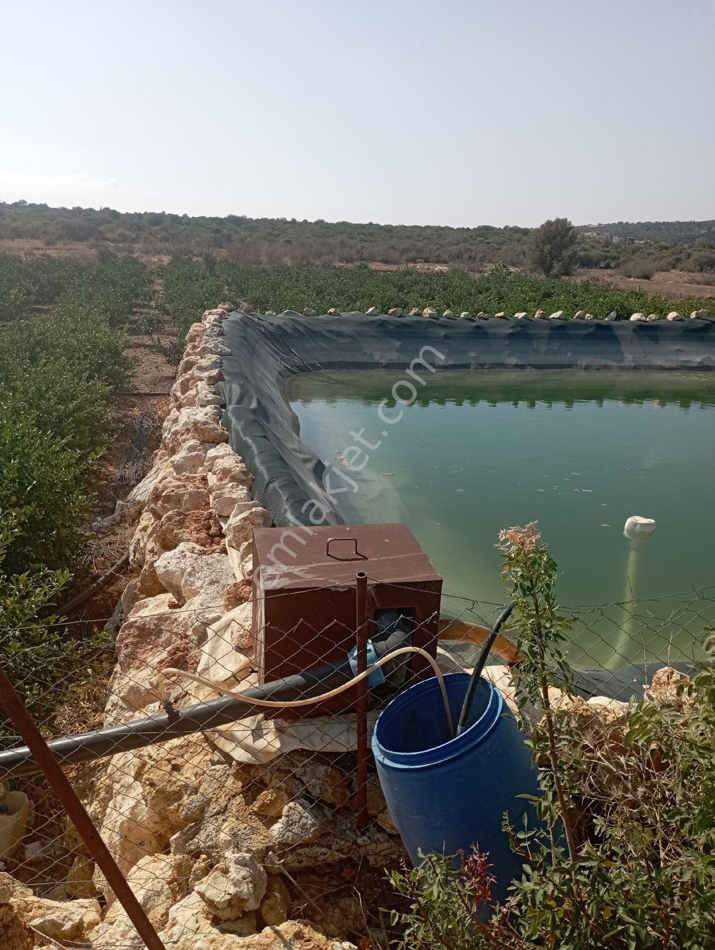 Ayaş Da 1500 M2 Ev Ve Bahçelik Toprak İmarlı Tarla Erdemli - Görsel 24