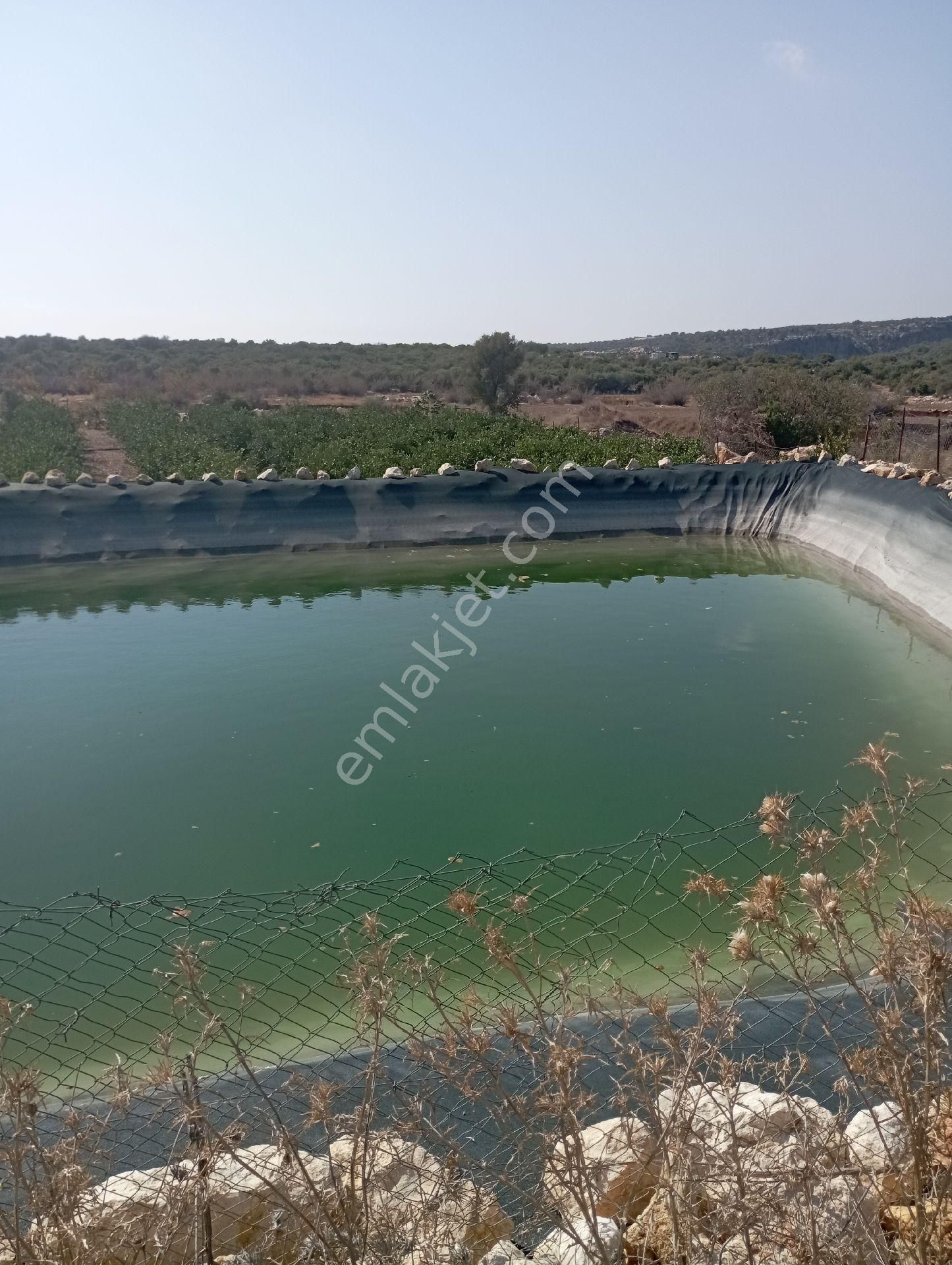 Ayaş Da 1500 M2 Ev Ve Bahçelik Toprak İmarlı Tarla Erdemli - Görsel 23