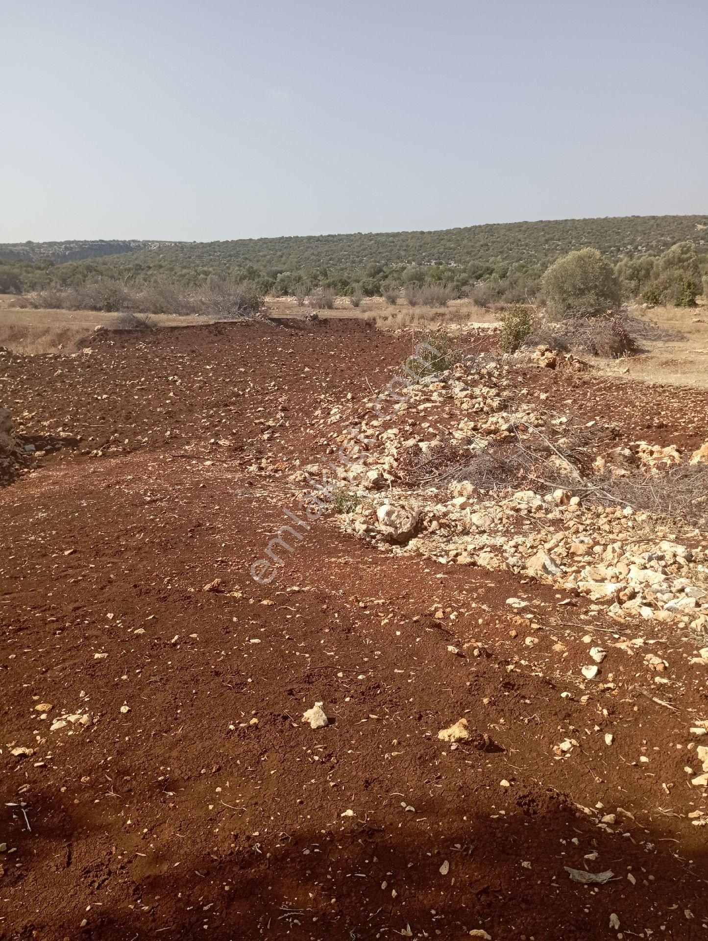 Ayaş Da 1500 M2 Ev Ve Bahçelik Toprak İmarlı Tarla Erdemli - Görsel 3