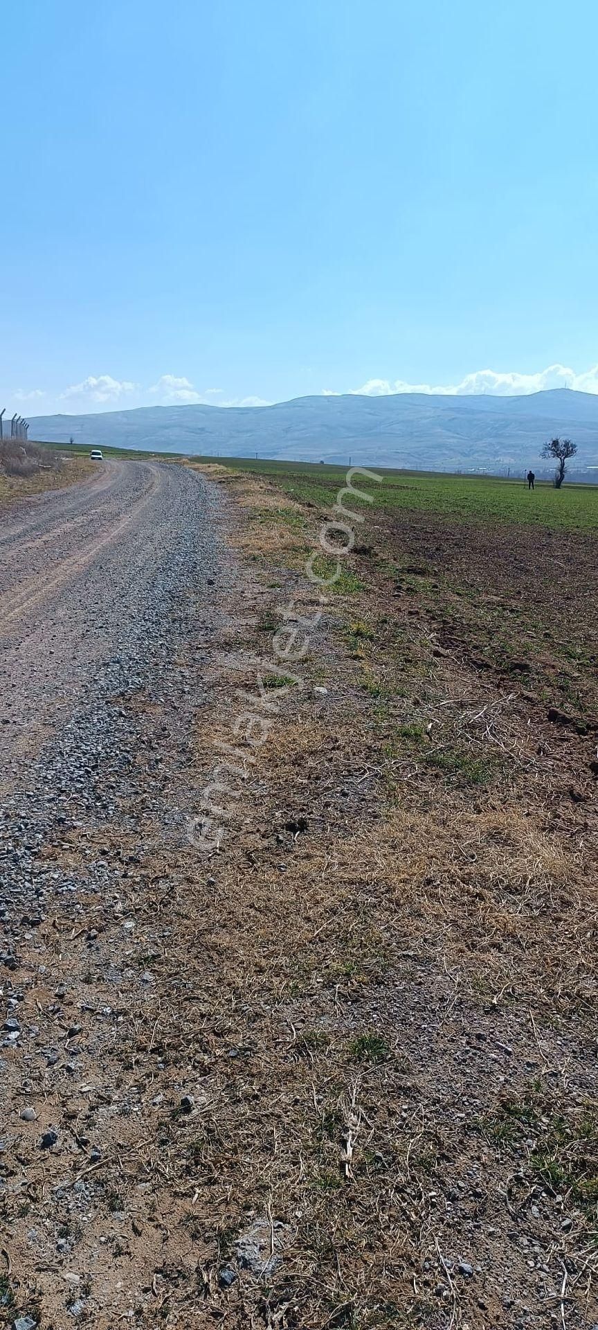 Melikgazi Ağırnas Satılık Bağ & Bahçe ağırnasda satılik tarla