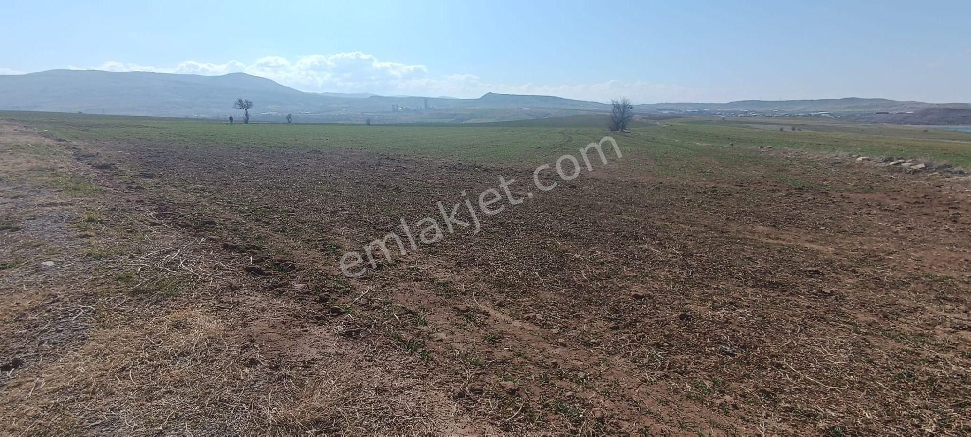 Ağırnasda Satılik Tarla - Görsel 5