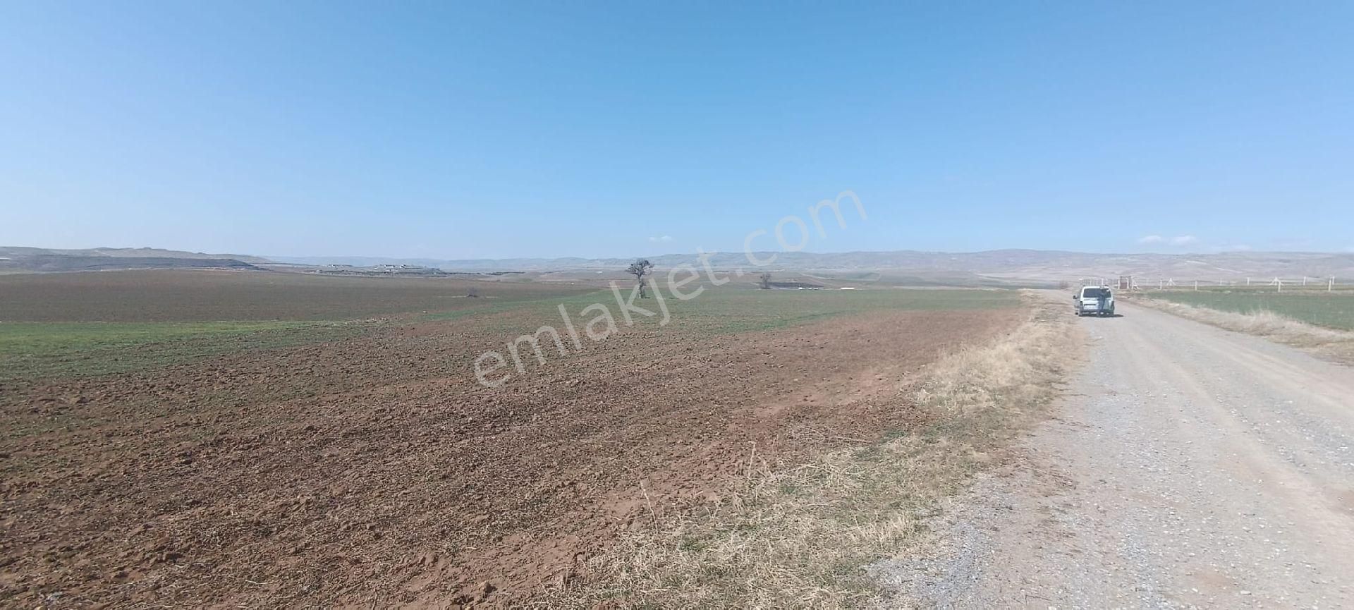 Ağırnasda Satılik Tarla - Görsel 8